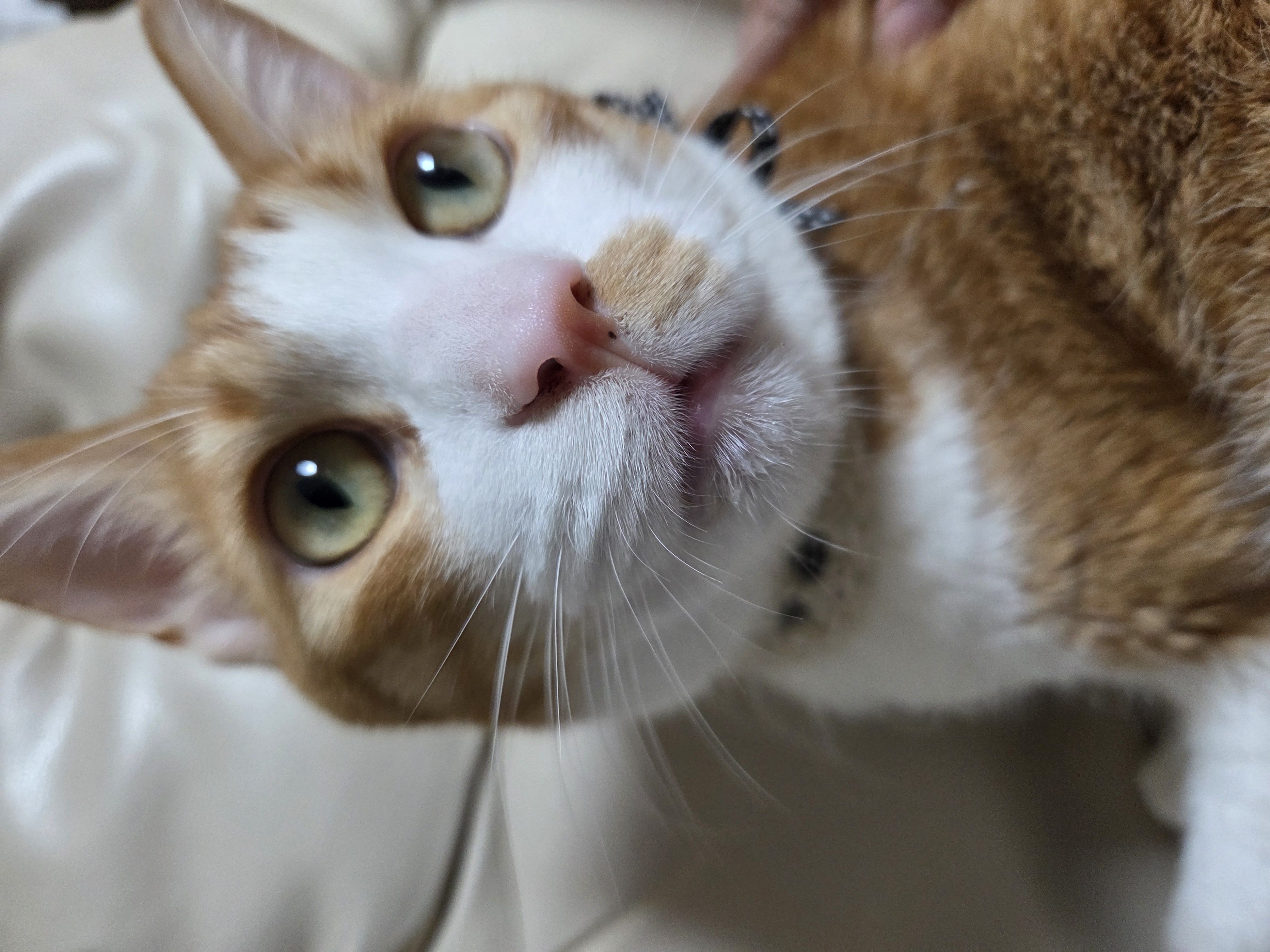 1년2개월후... 더 이뻐진 우리뀨리 