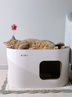 두두 (구 삼월이) 한달 후기 🧡