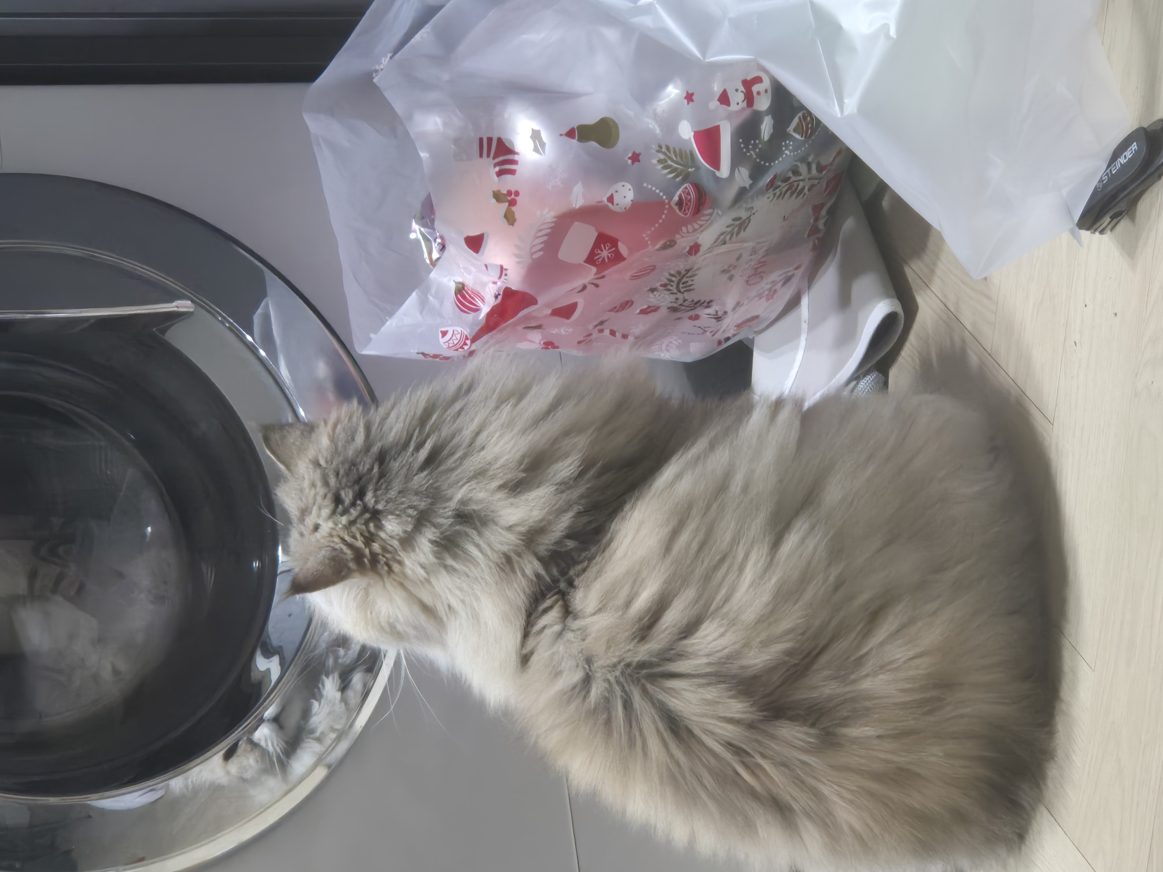 밤장이네 입니다