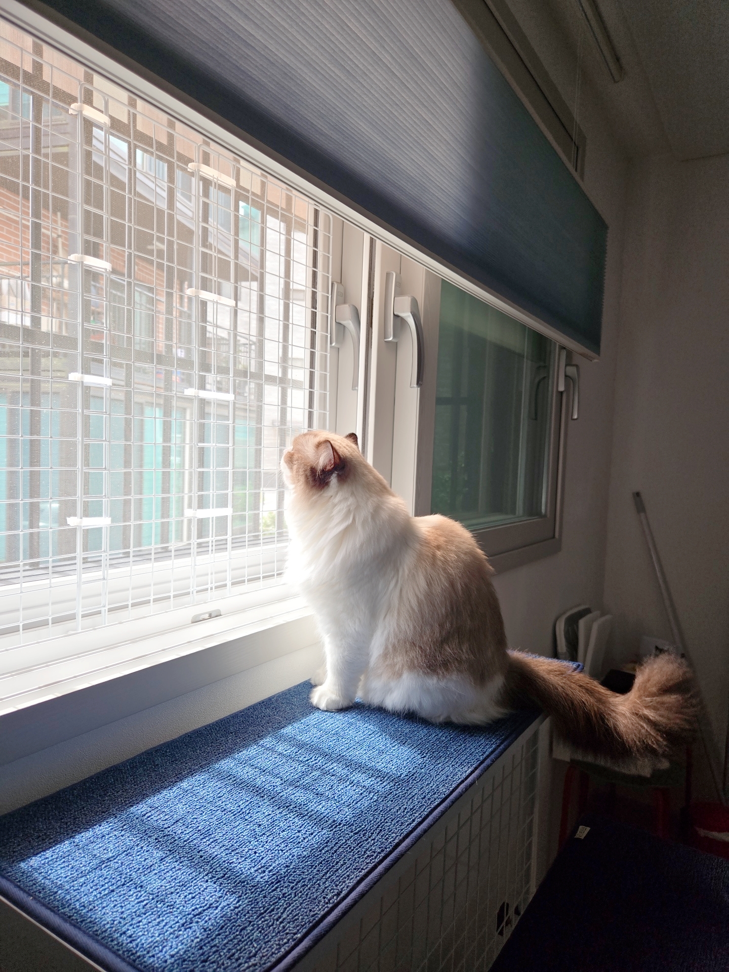 미야오(마시) 우리는 가족 : 1개월 차