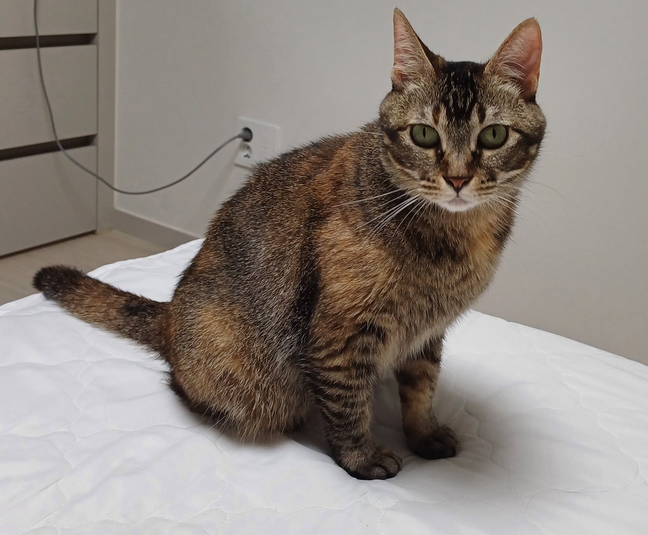 (현)후추 (구)마동이 한달 됐어요!