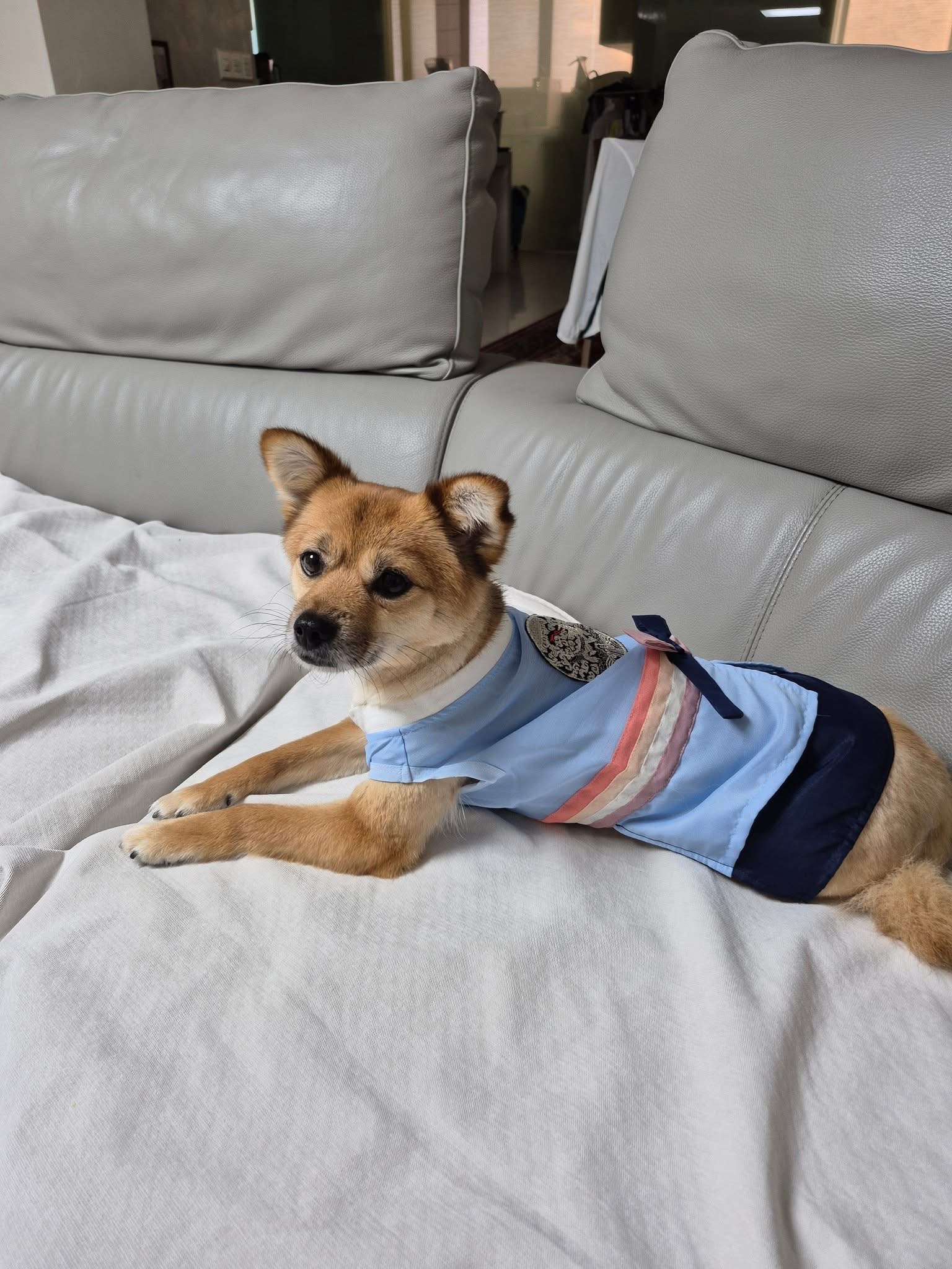 [해외입양] 캐나다 토론토에서 전해온 '달님이' 소식💌