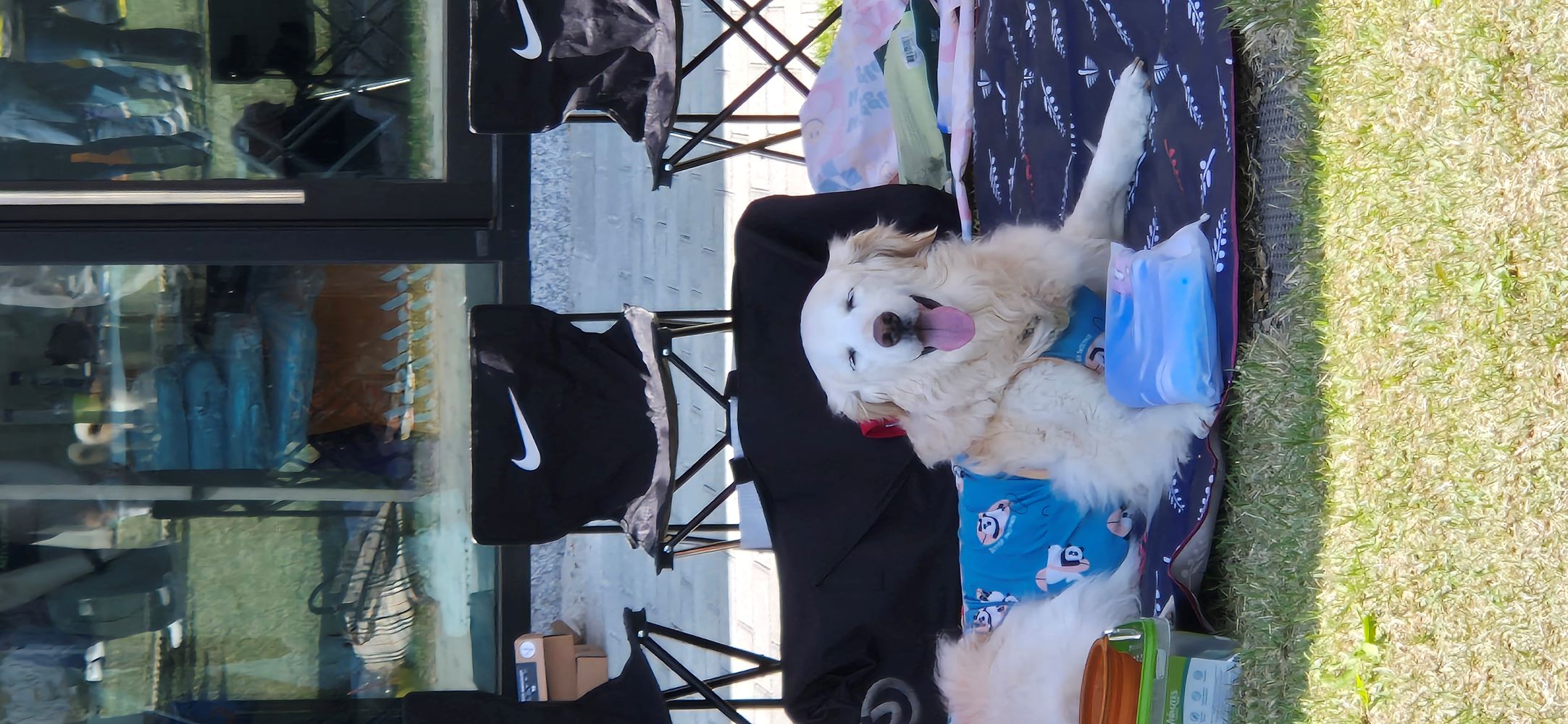 (호박) 호박이가 혼자 소풍을 떠났습니다.