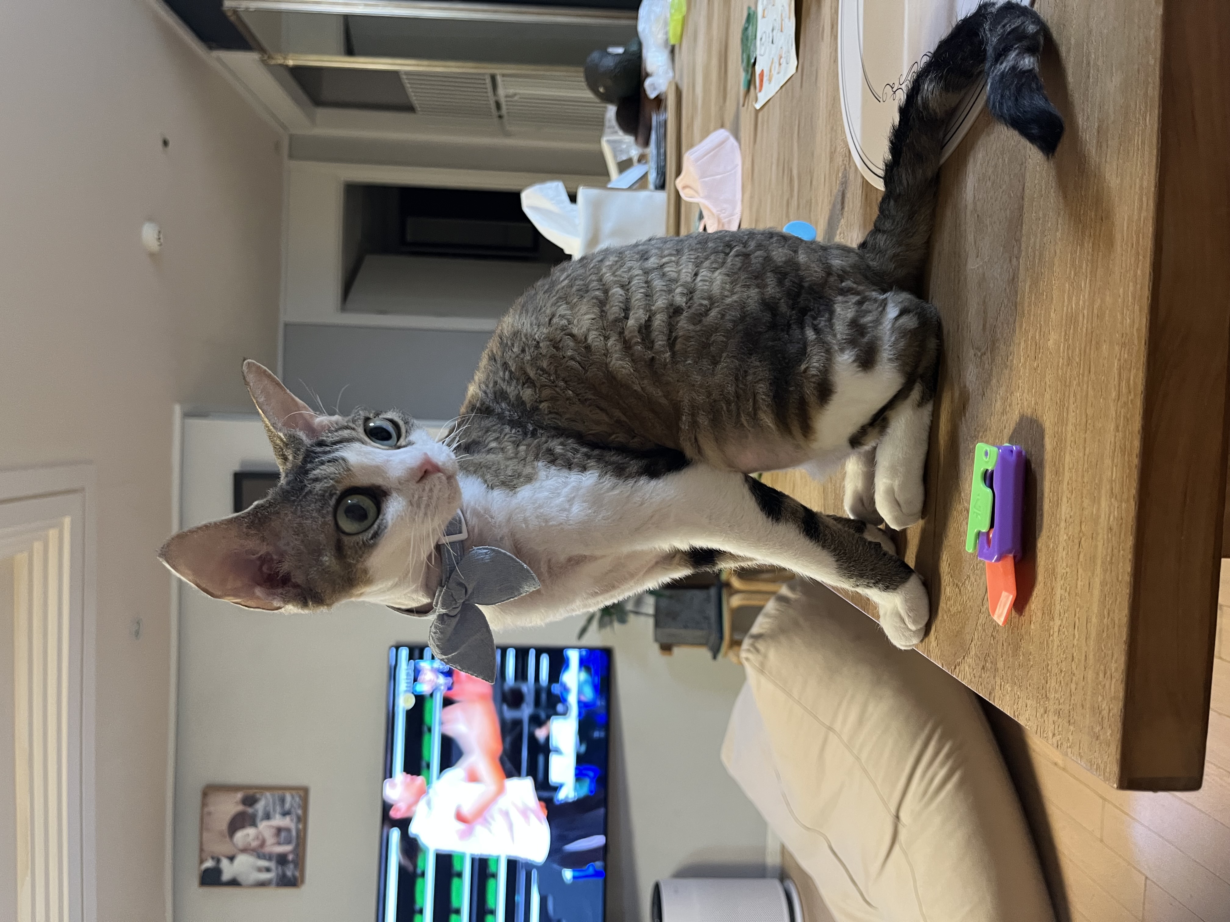 머루(까까)와 함께한 세달