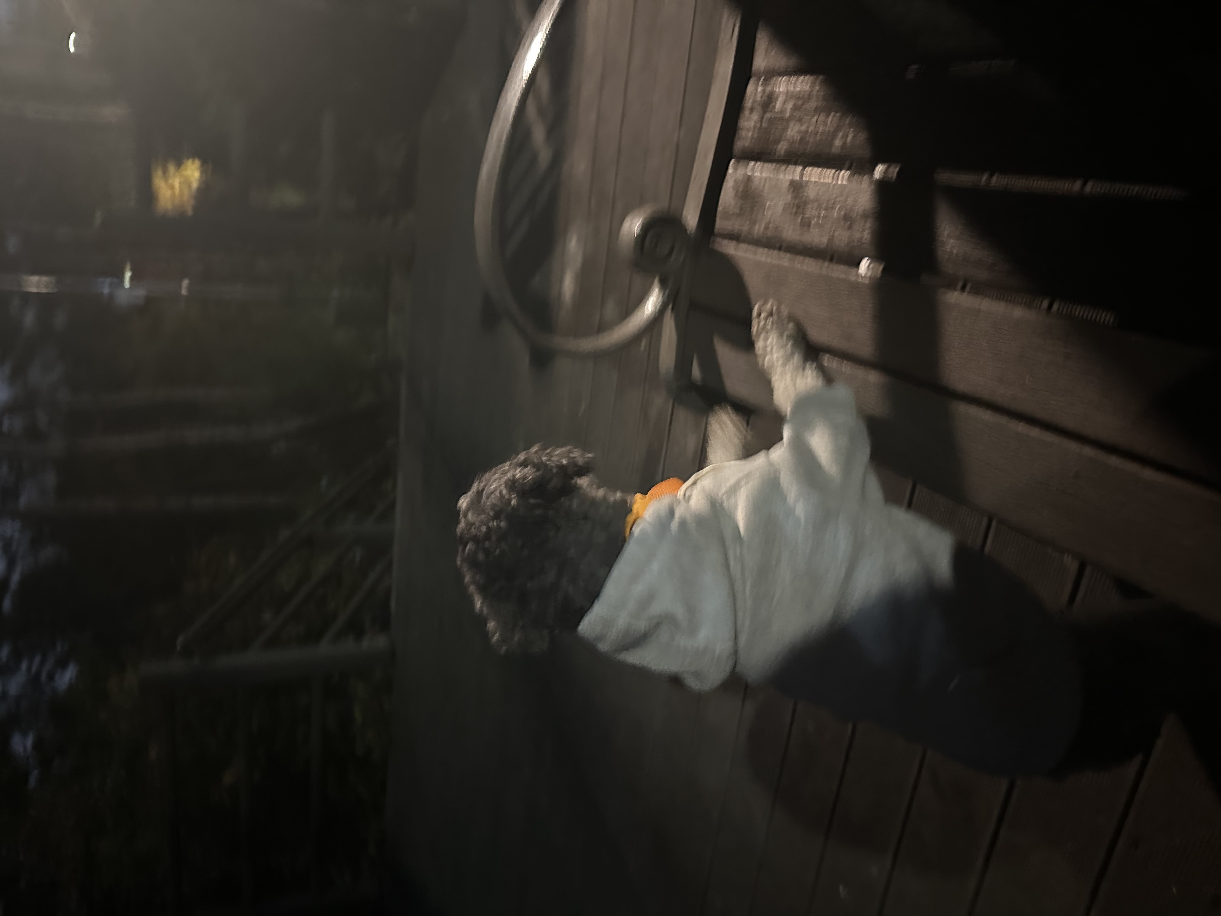 1주일 | 보미의 적응기