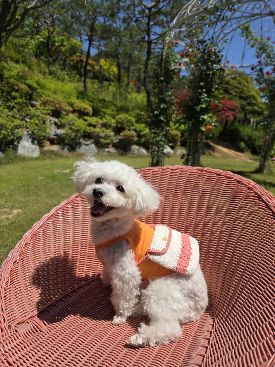 구) 말랭 현) 도담이의 2년