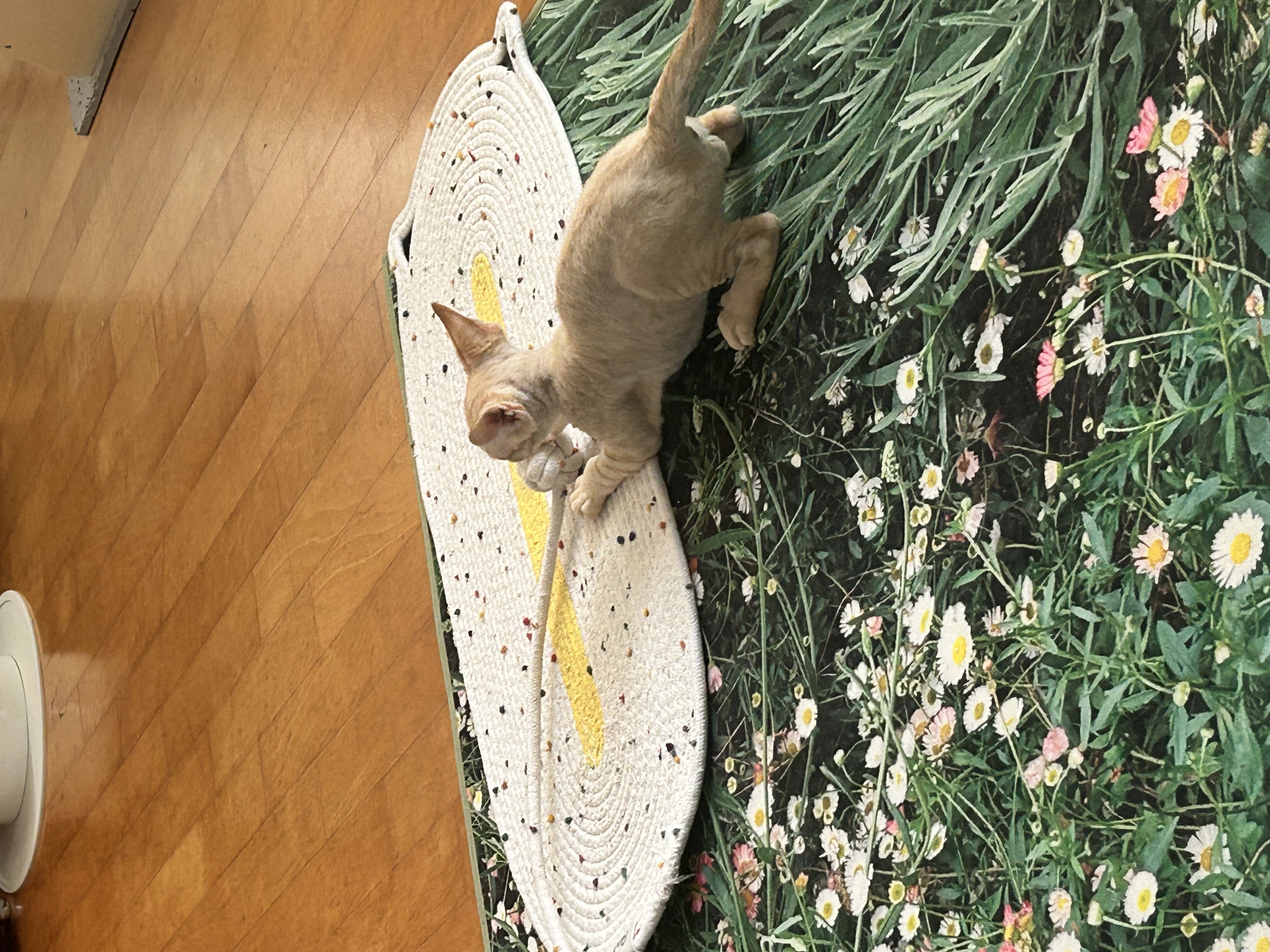 복만이 (던노)와의 한달!