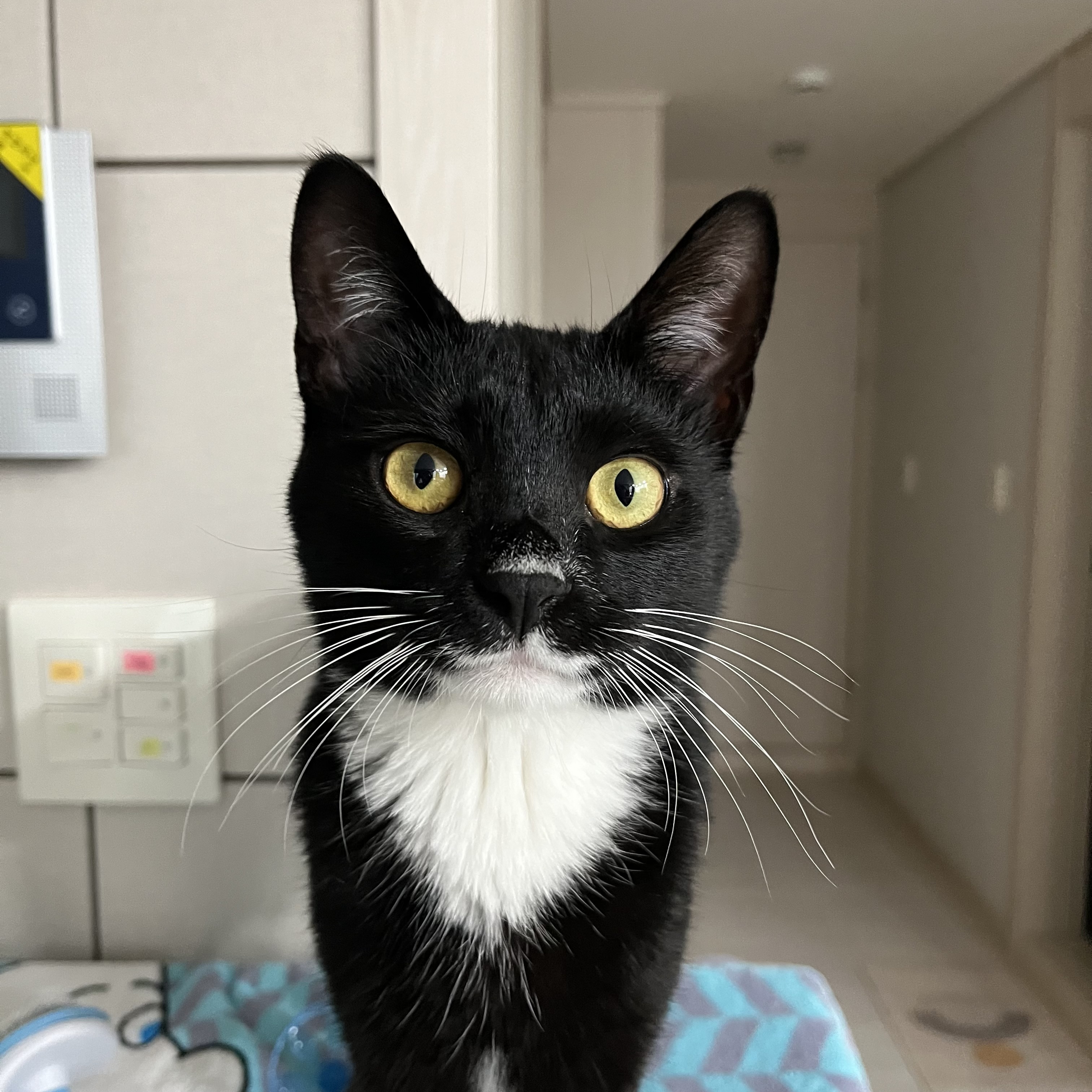 까미 1년차 후기