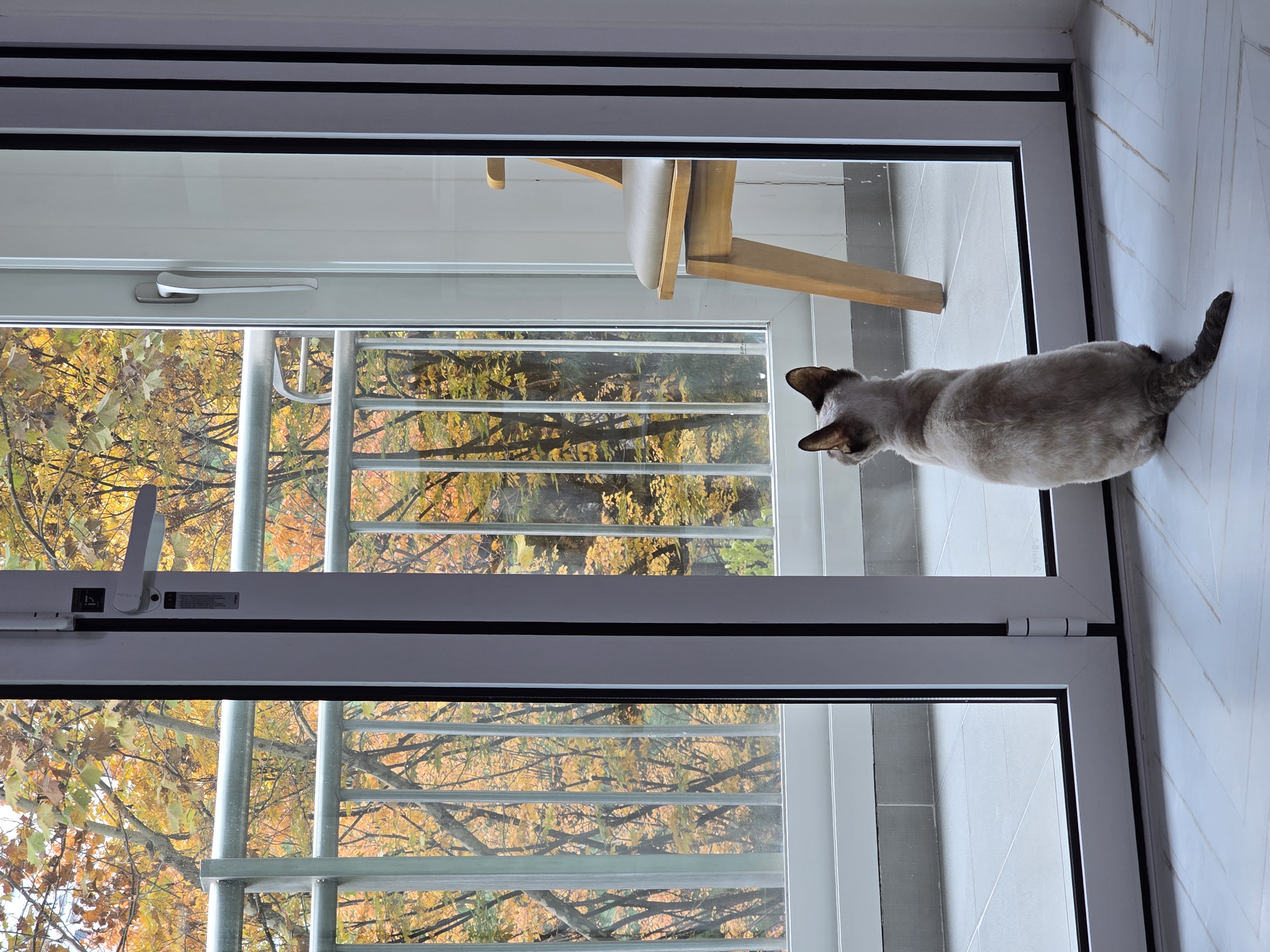 바다 입양 3갤 후기