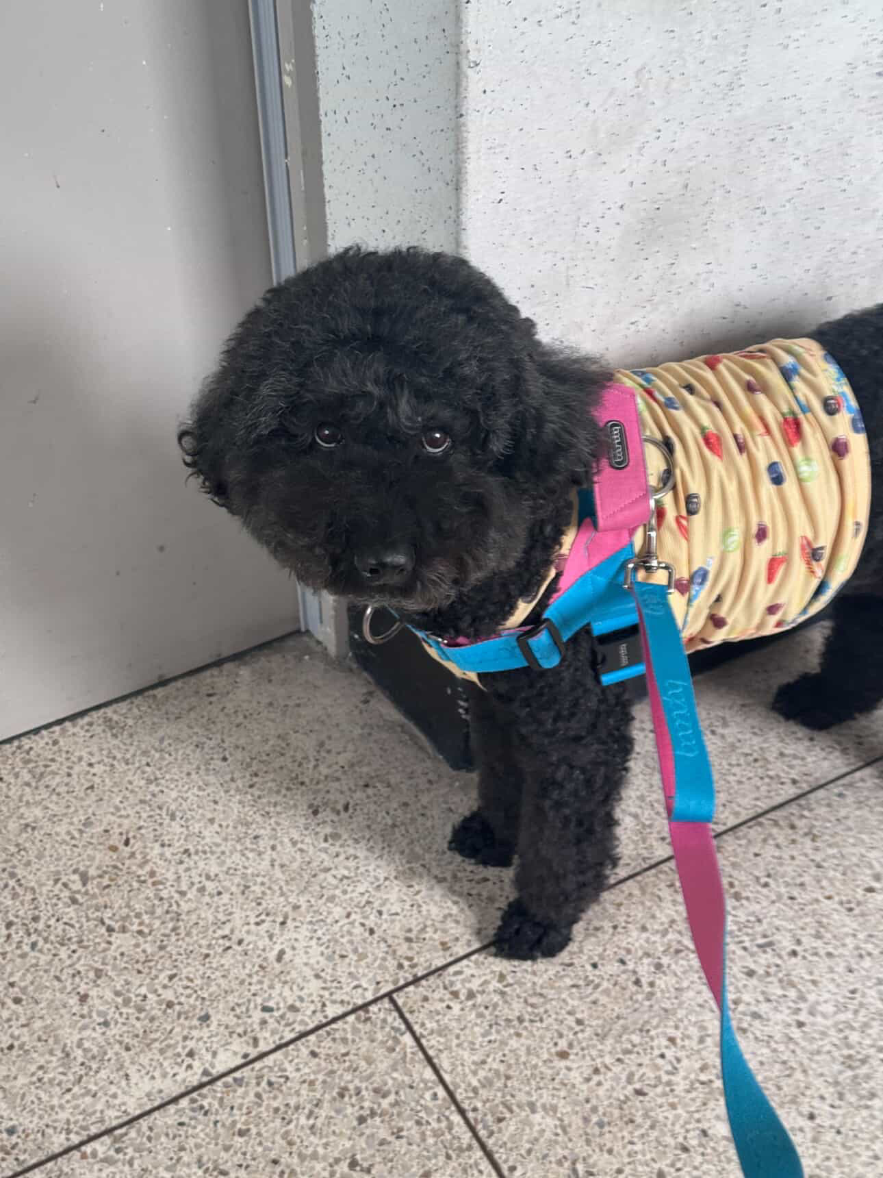 헤라와 함께한 너무 소중한 시간