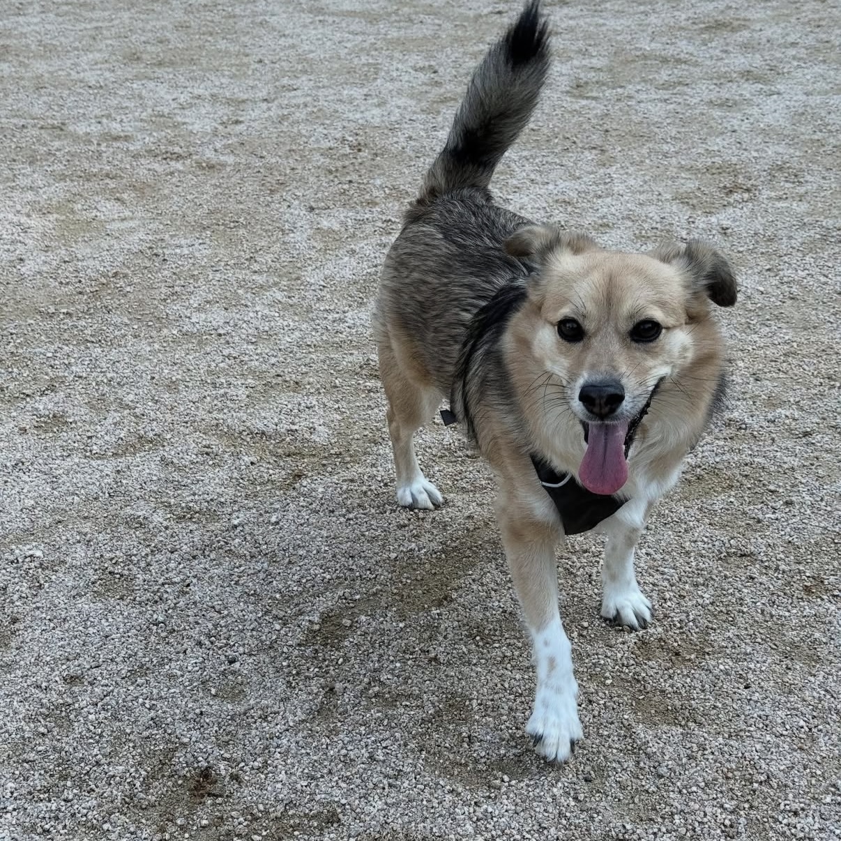 지구와 같이 지낸지 4년이 지났어요.