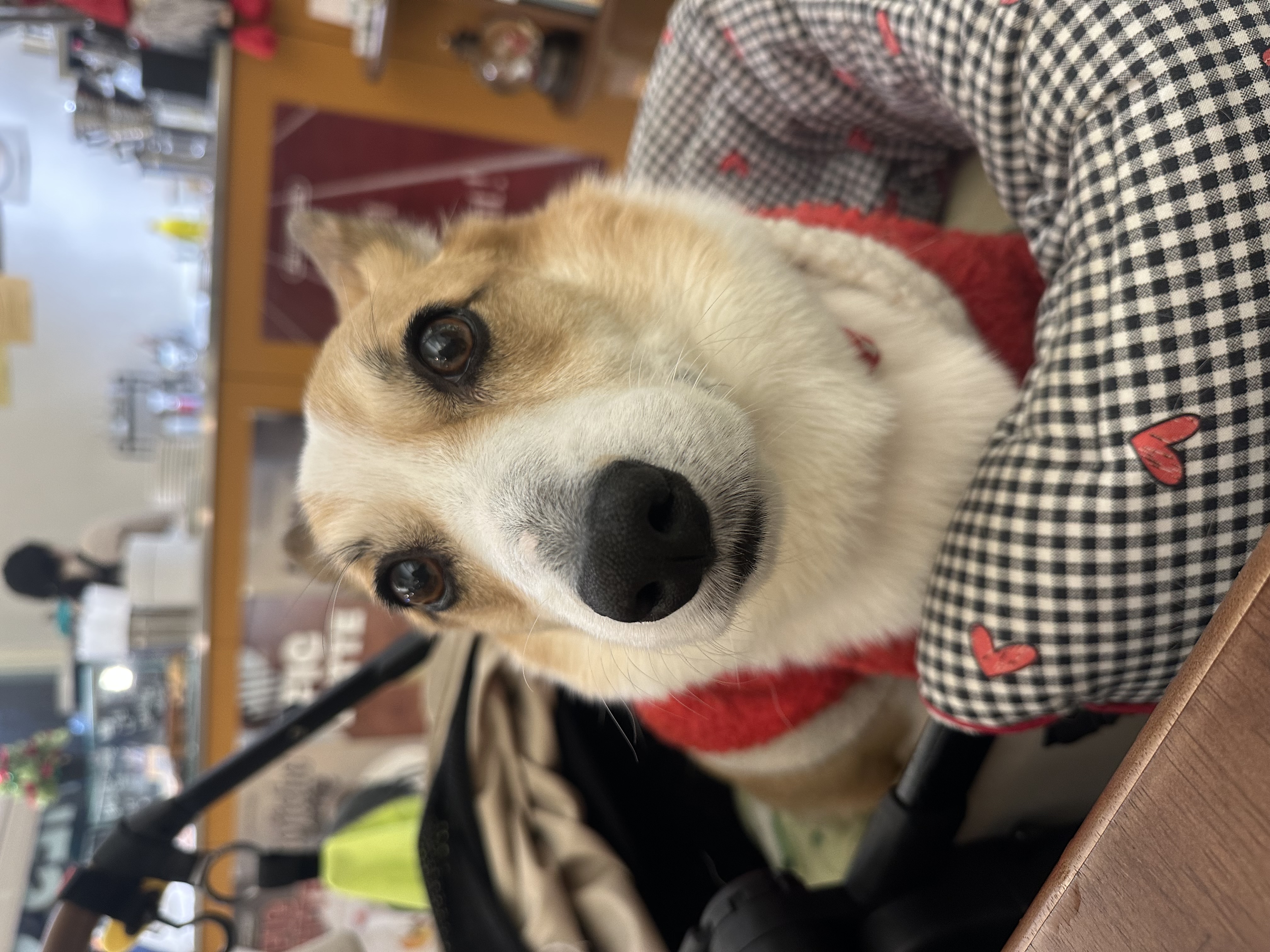 무티(구.수코) 2년차 근황