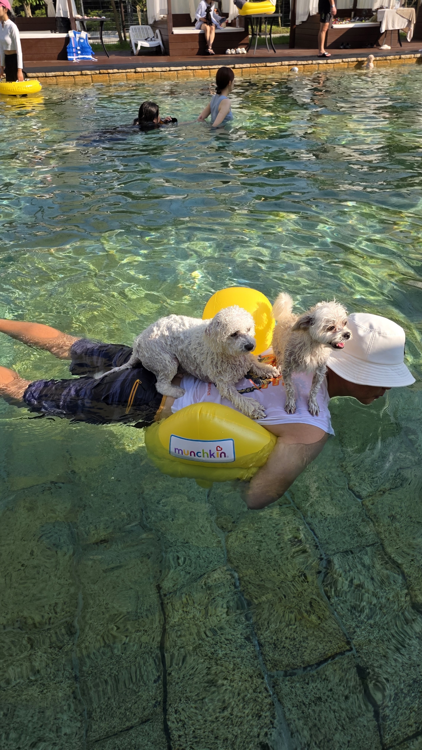 샤넬, 볼보 잘지내고 있어요~ ^^