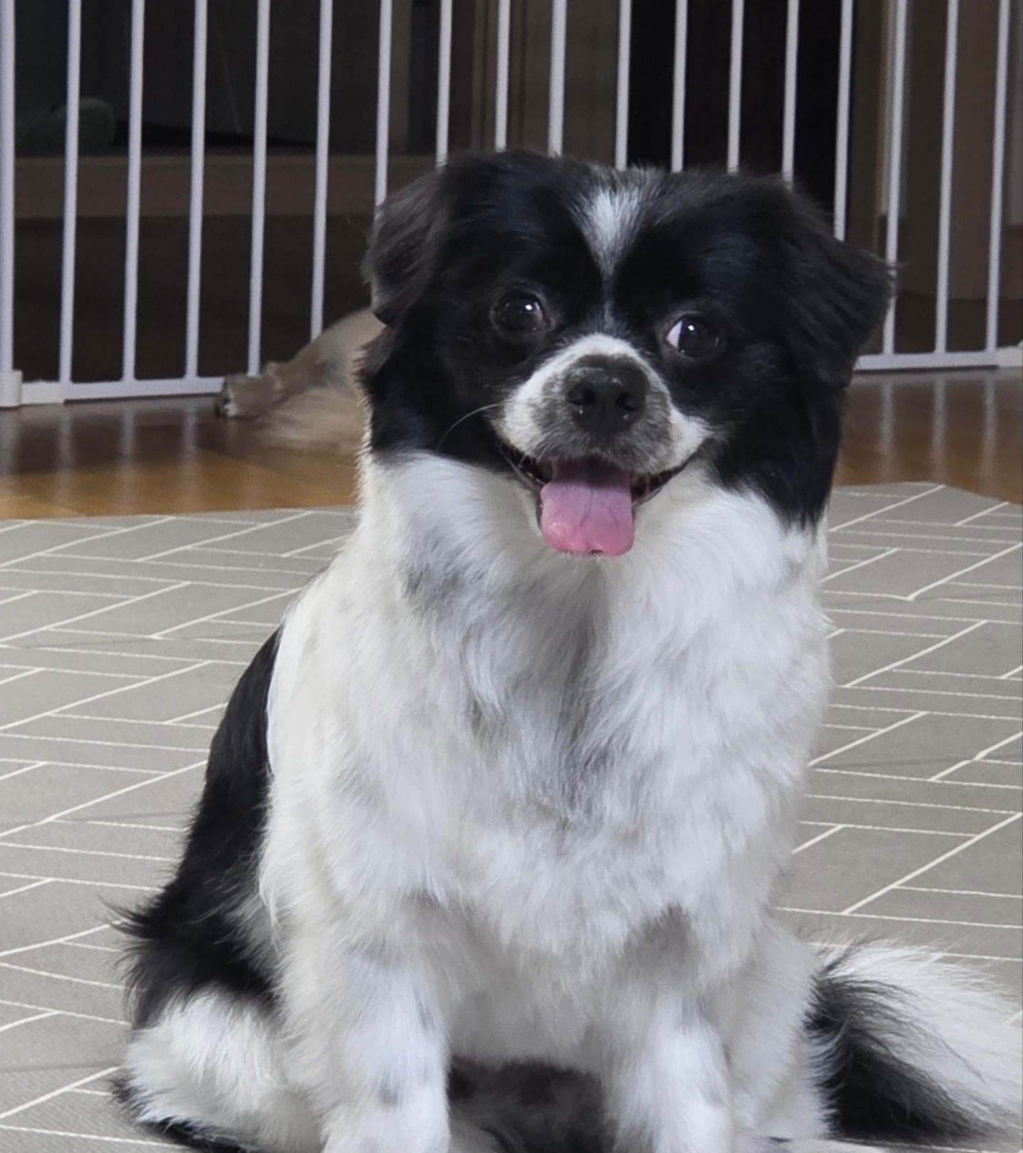 자이와 함께한 4년