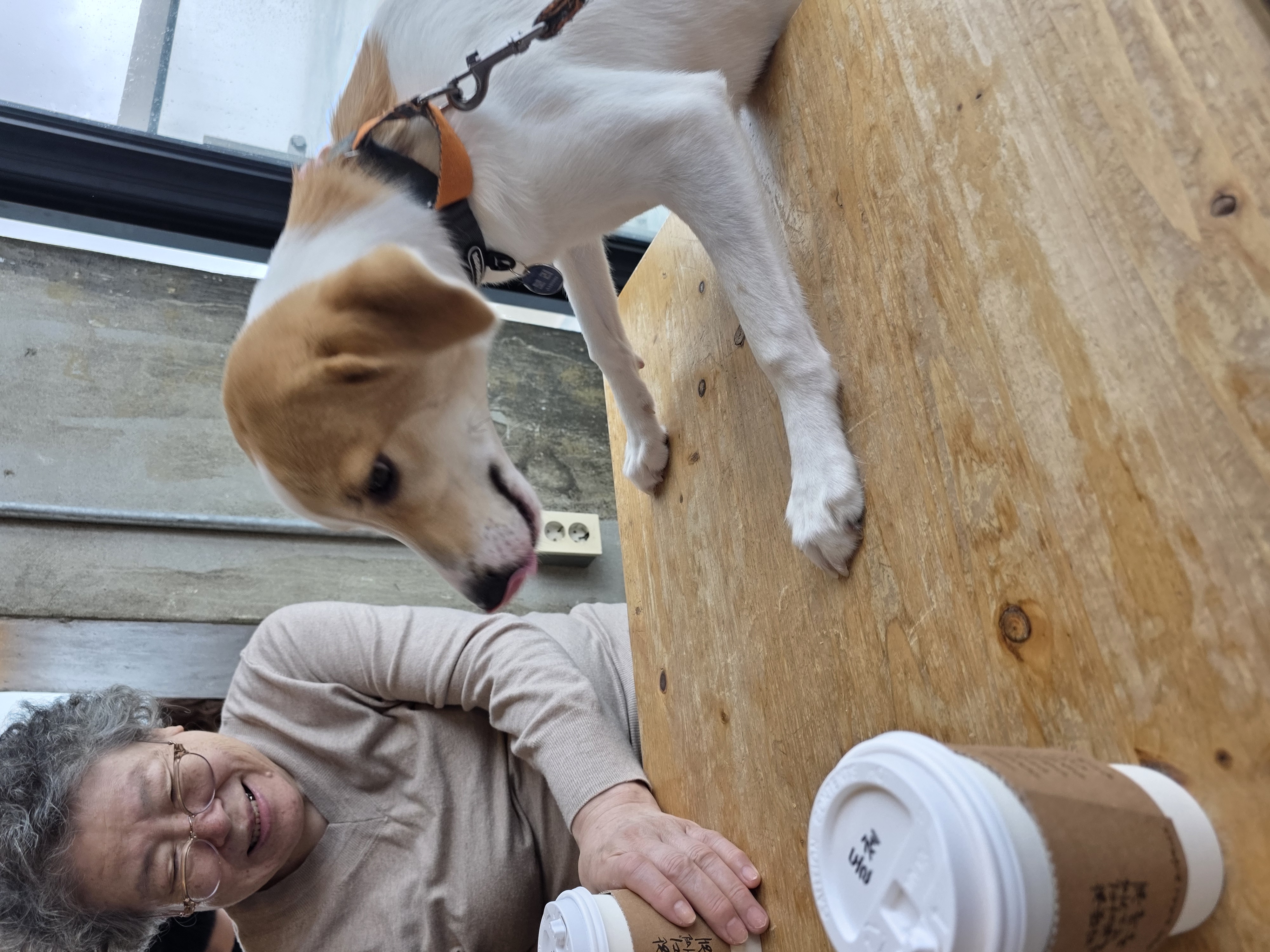 모디 3개월 추석이야기