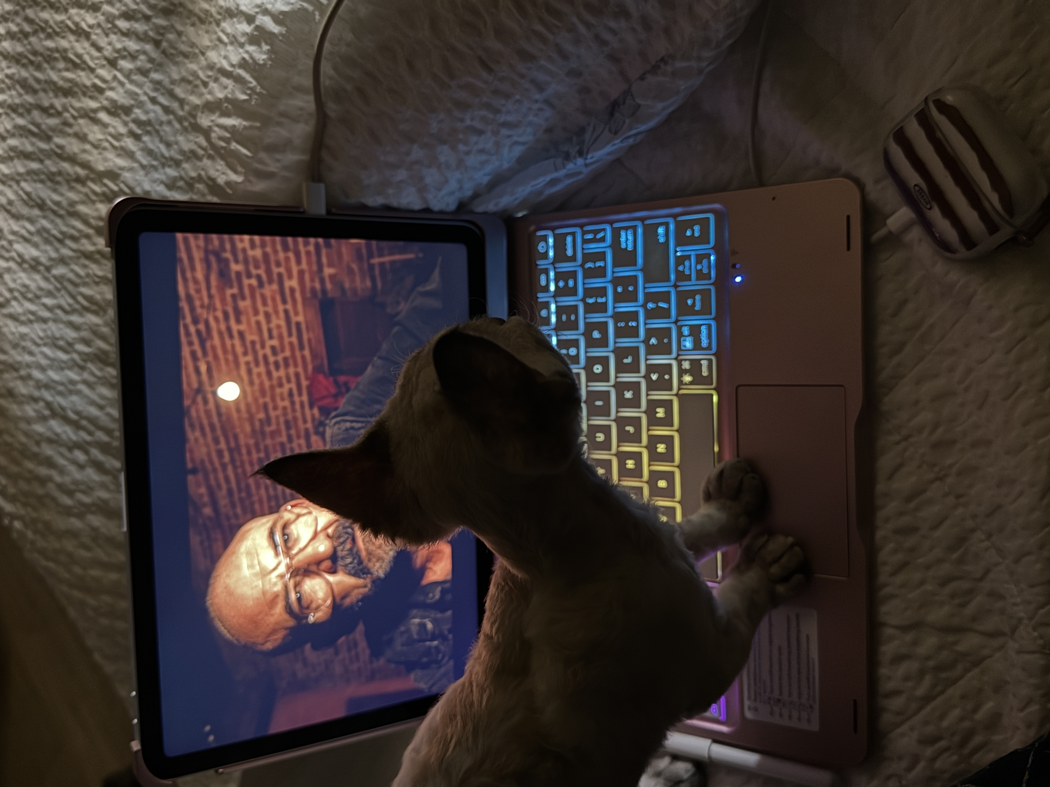 김새로(던회)와 함께한 일주일차