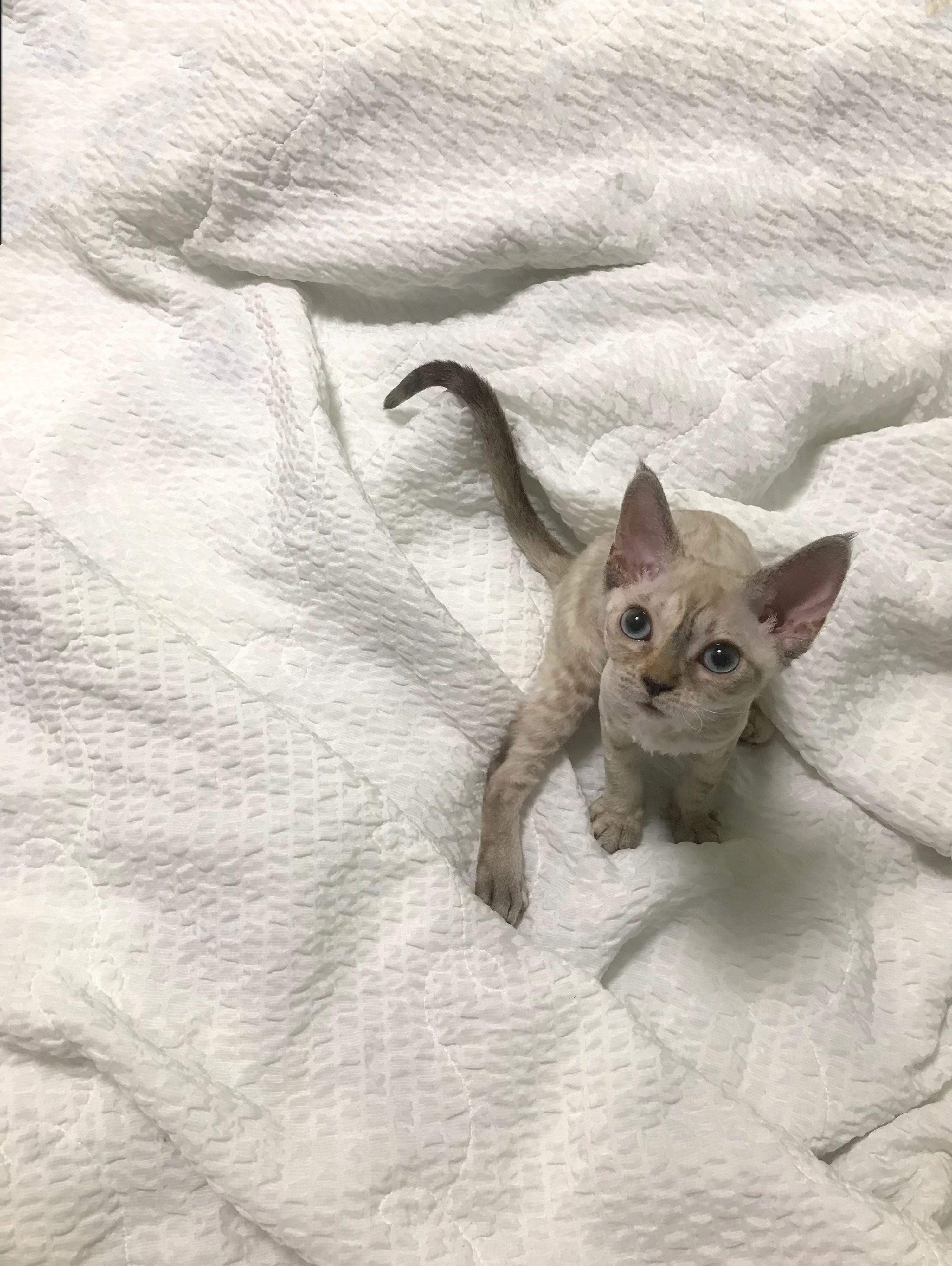 김새로(던회)와 함께한 일주일차