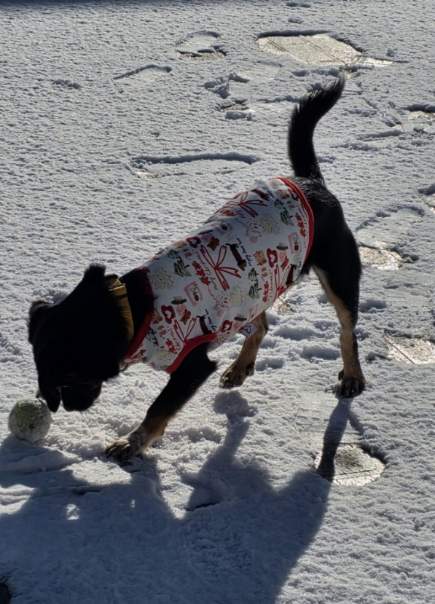 두양이 잘지내고 있습니다~