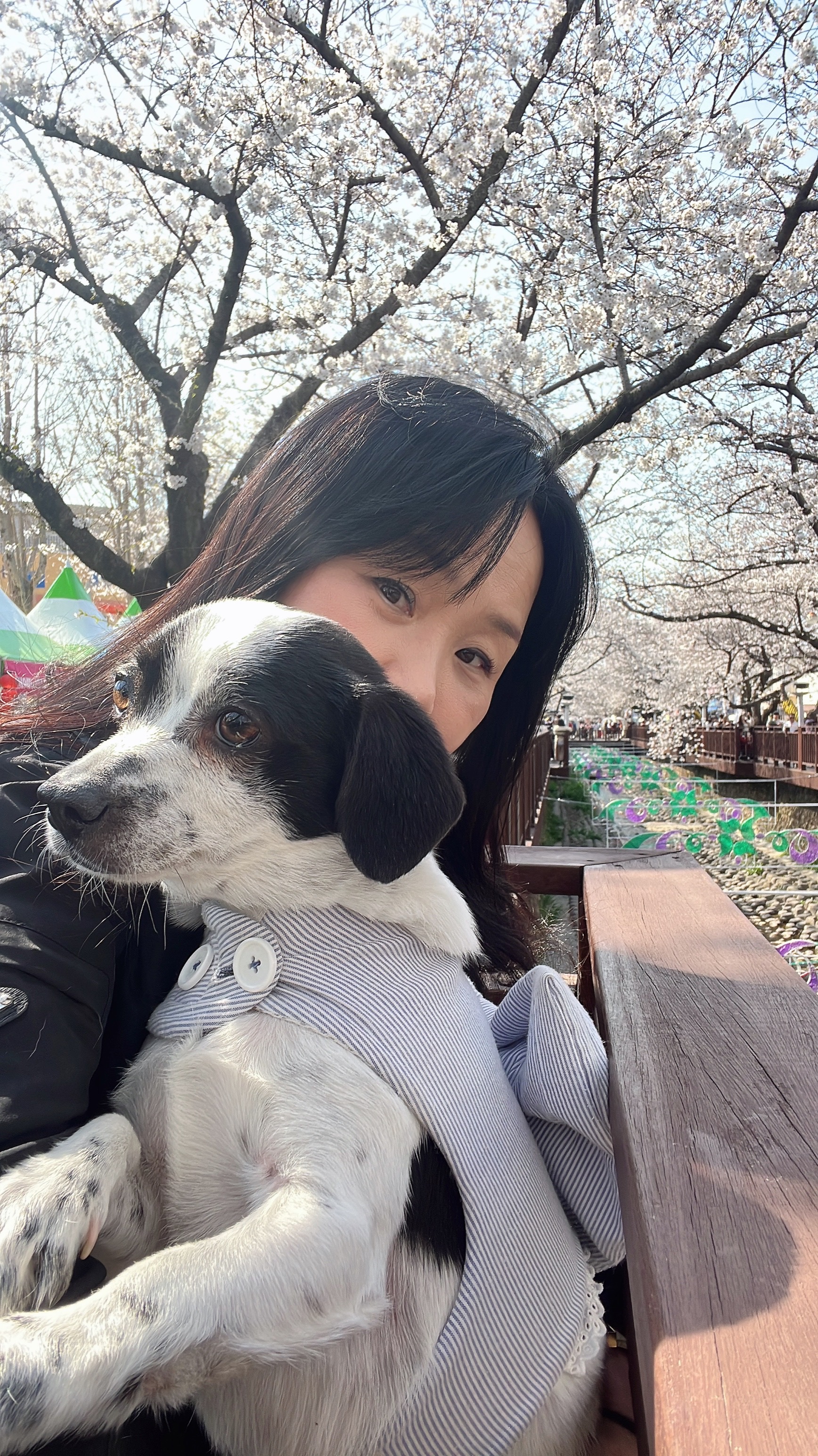 아키(구 하얀이)와 가족이 된지 4년이 됐어요