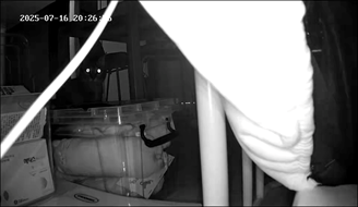 마동이(현 후추)의 일주일 이야기