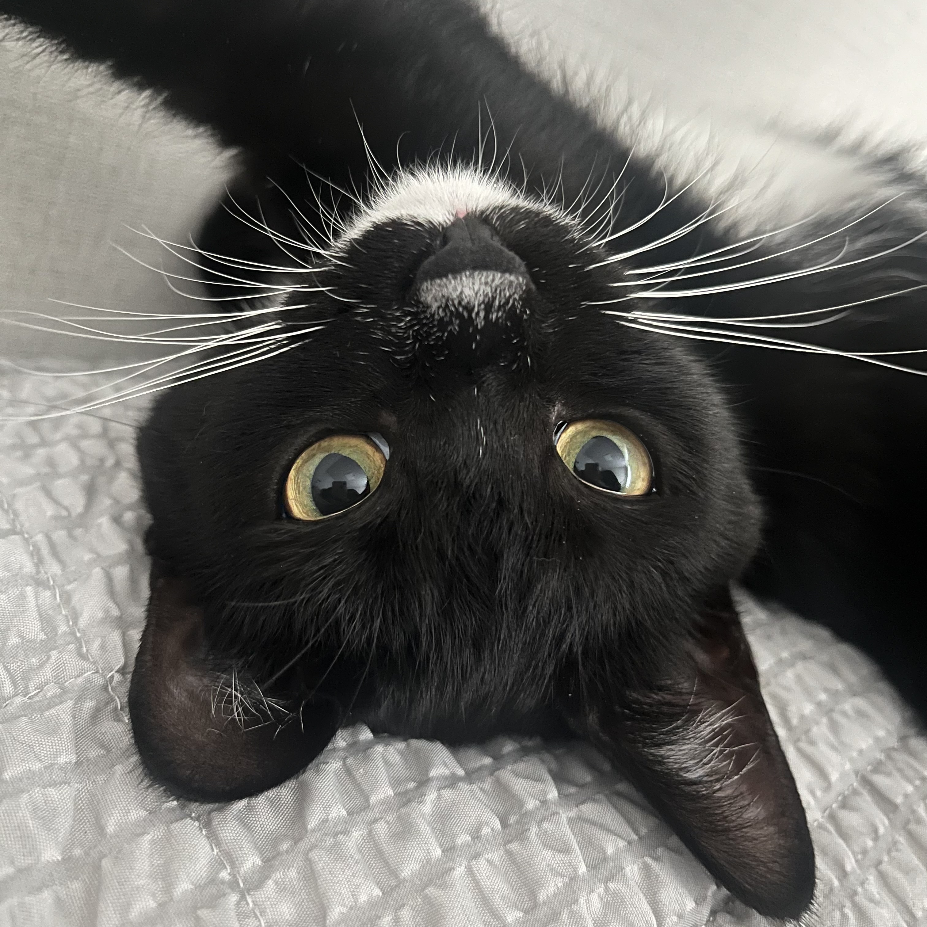 까미 1년차 후기