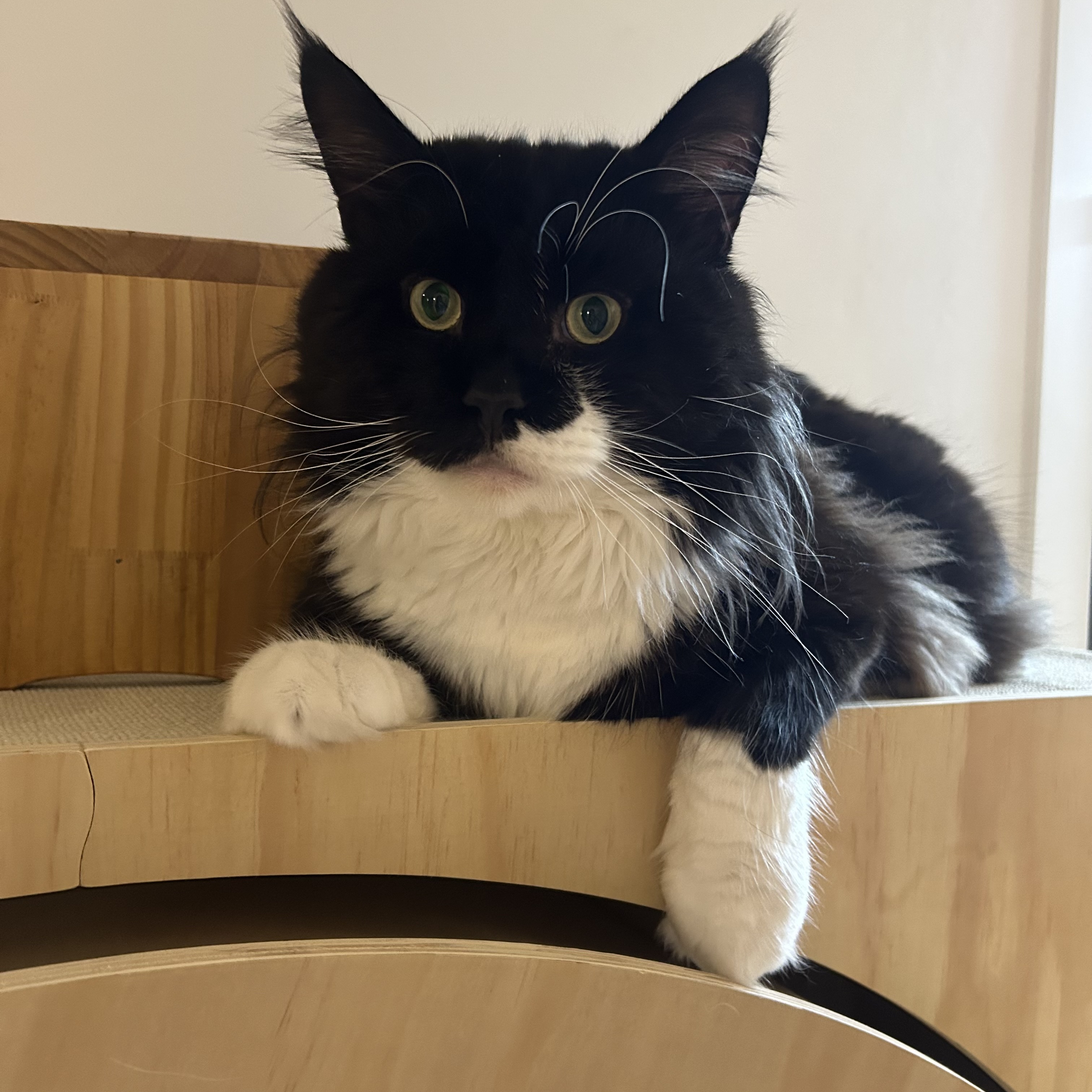 산이(인쿤이)와의 1년