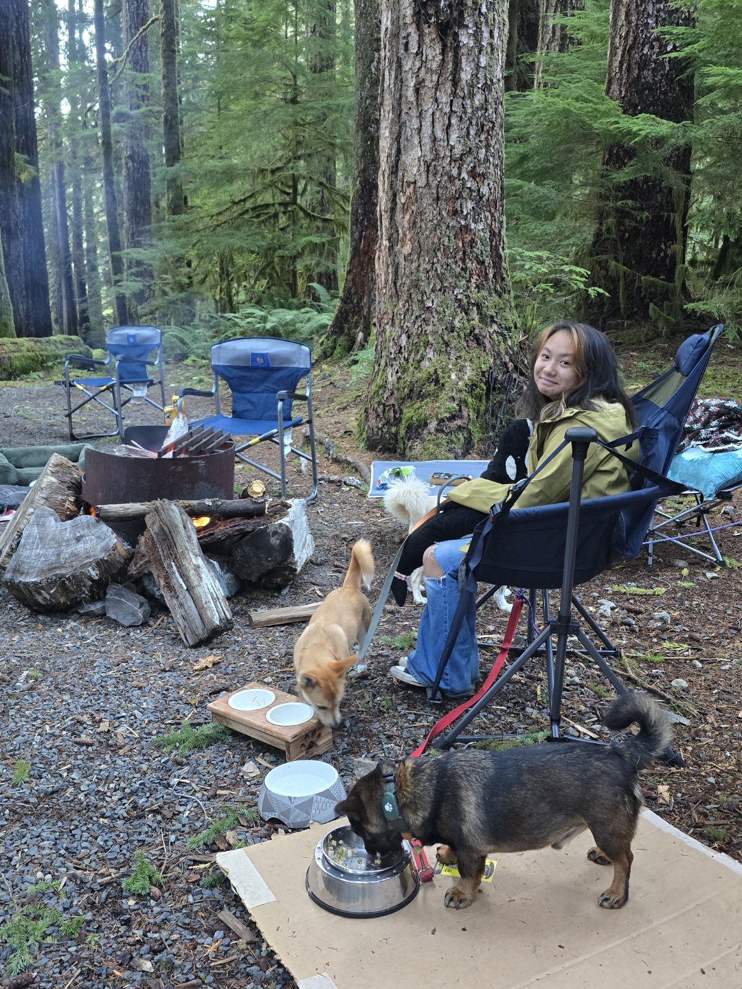 [해외입양] 캐나다 밴쿠버에서 전해온 '모나' 소식💌