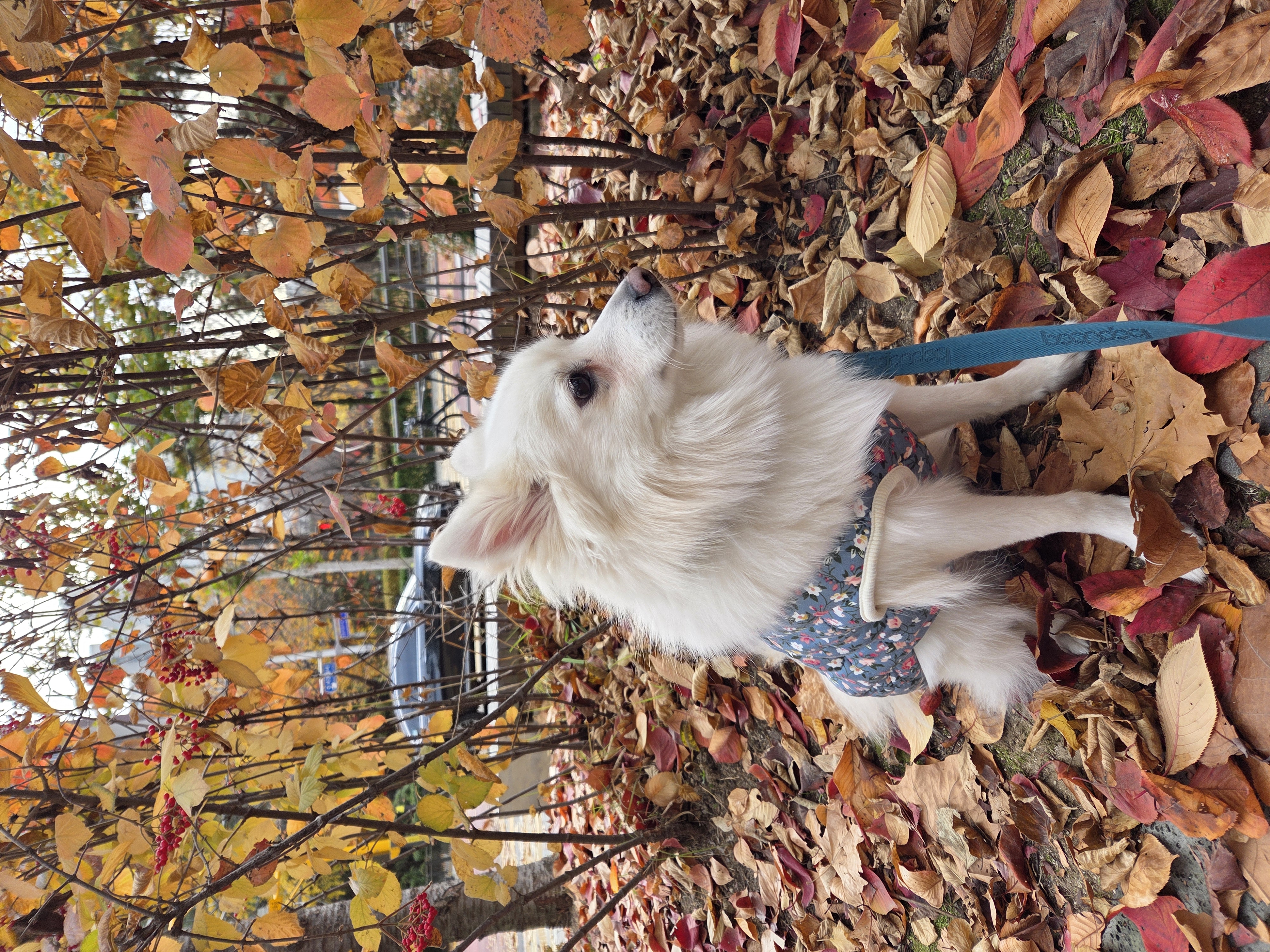 다람이+리유=🤍