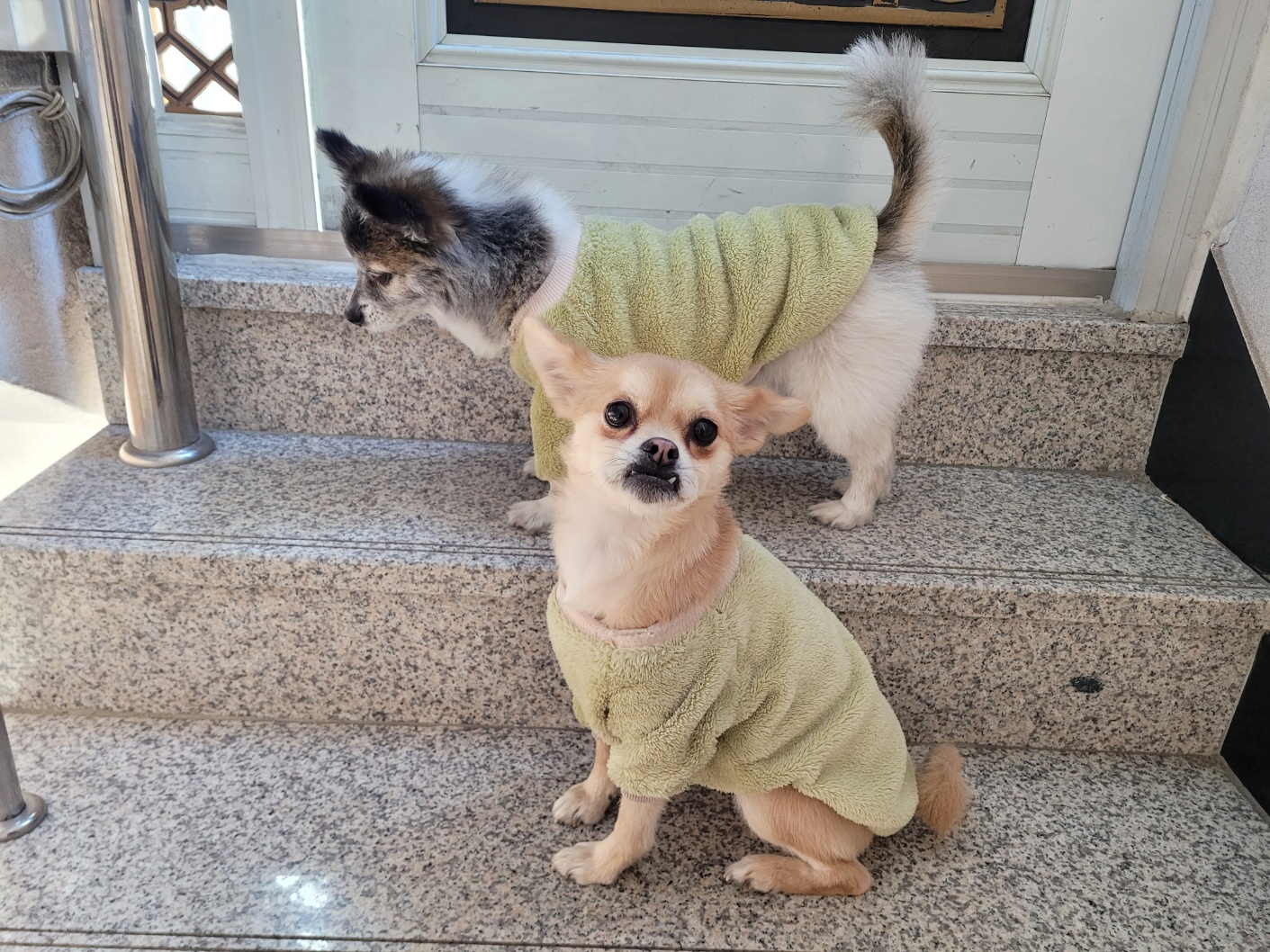 미로(구 오원) 3년 이야기