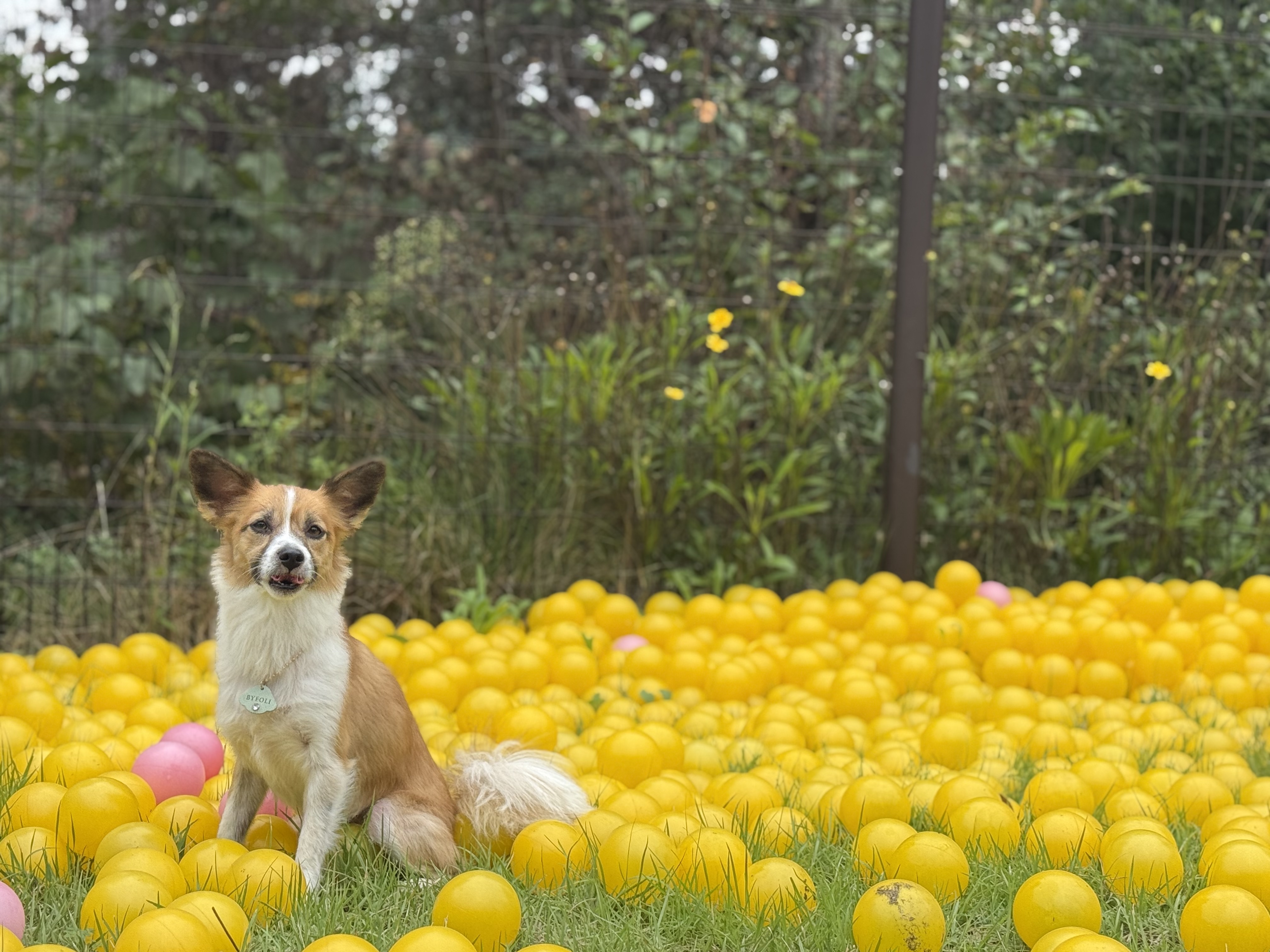 벼리(은오)5년차입니다~♡