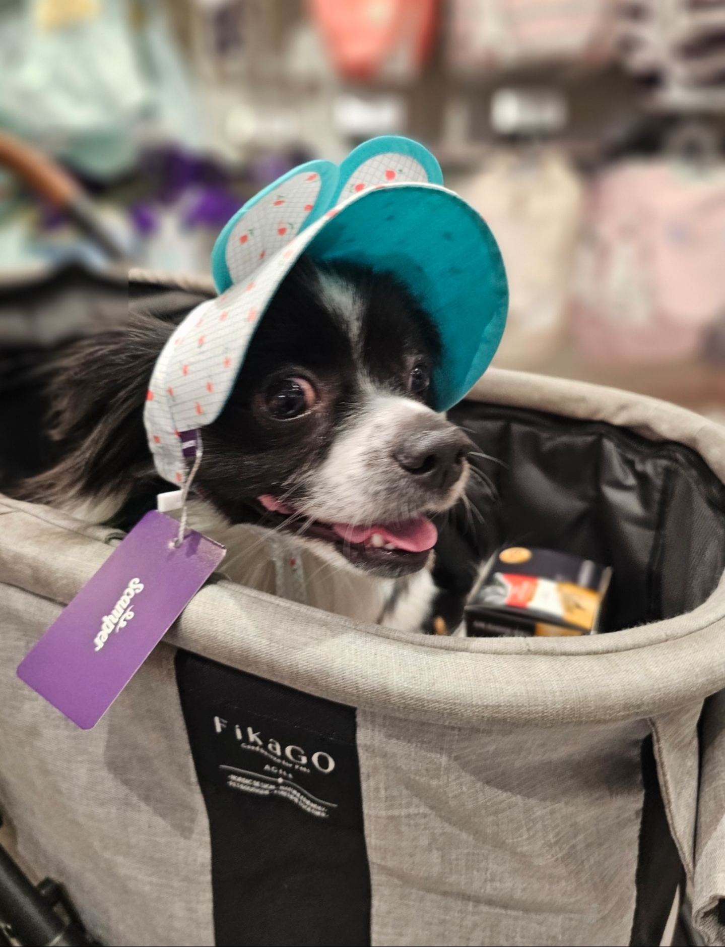 자이와 함께한 4년