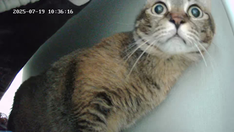 마동이(현 후추)의 일주일 이야기