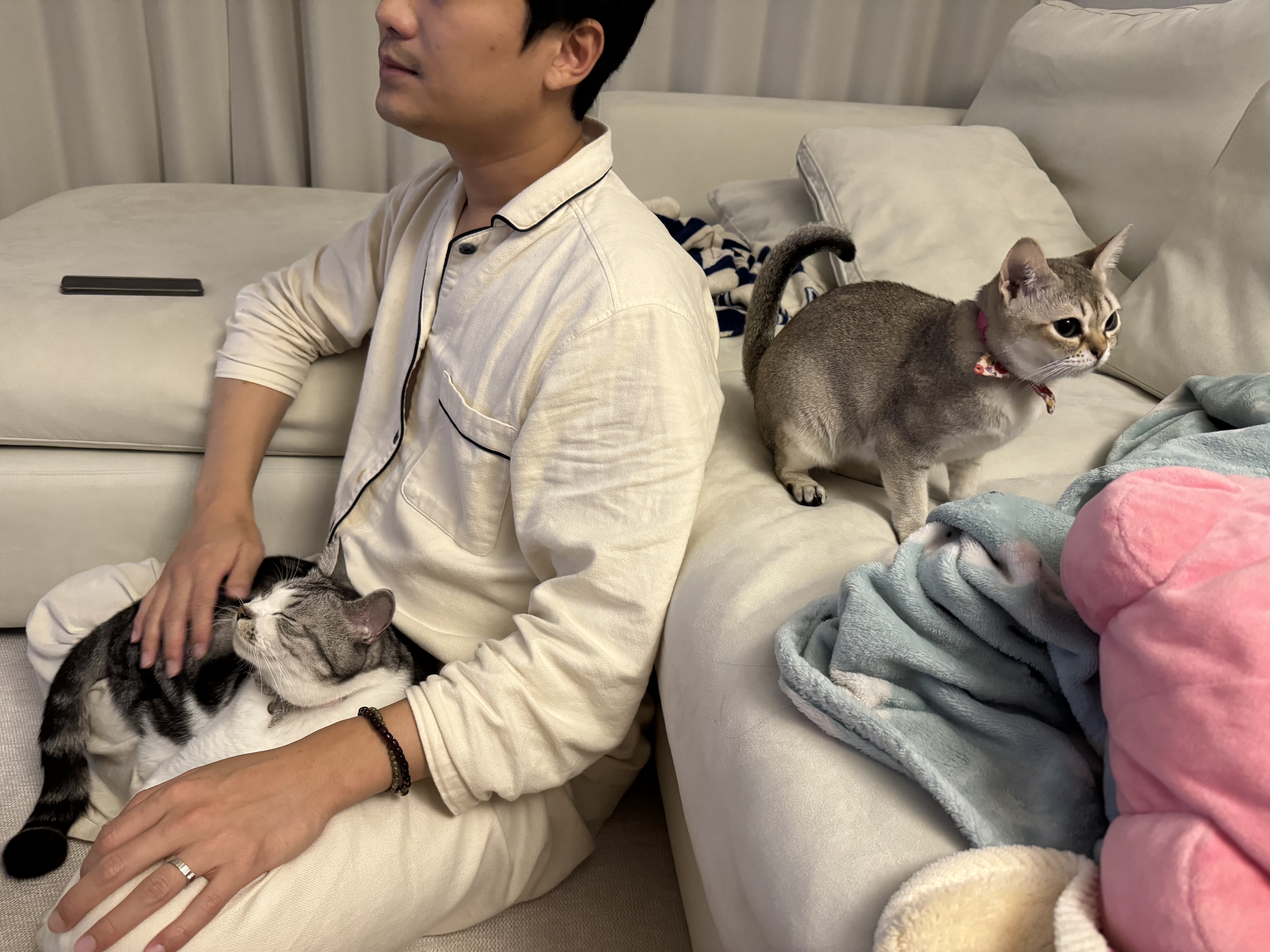 보리(순이) 입양 3개월 차 후기 !