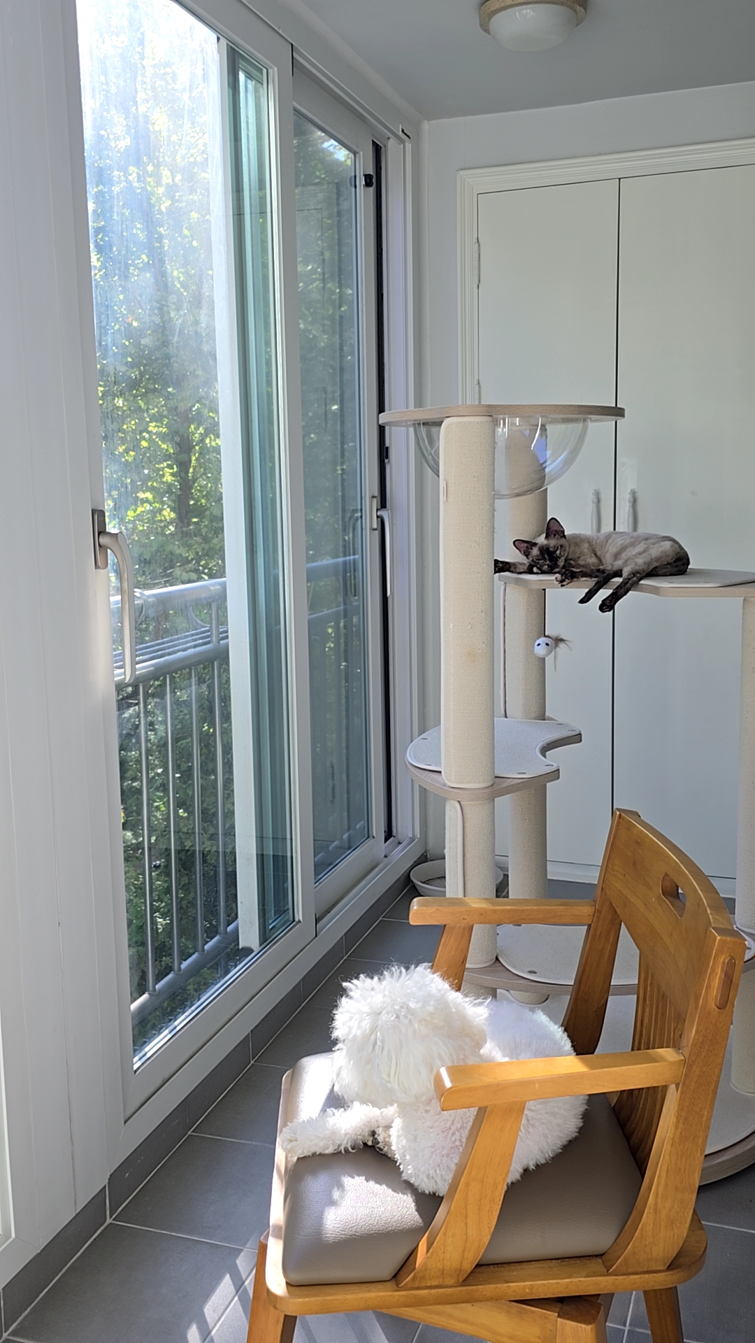 바다 입양한달기