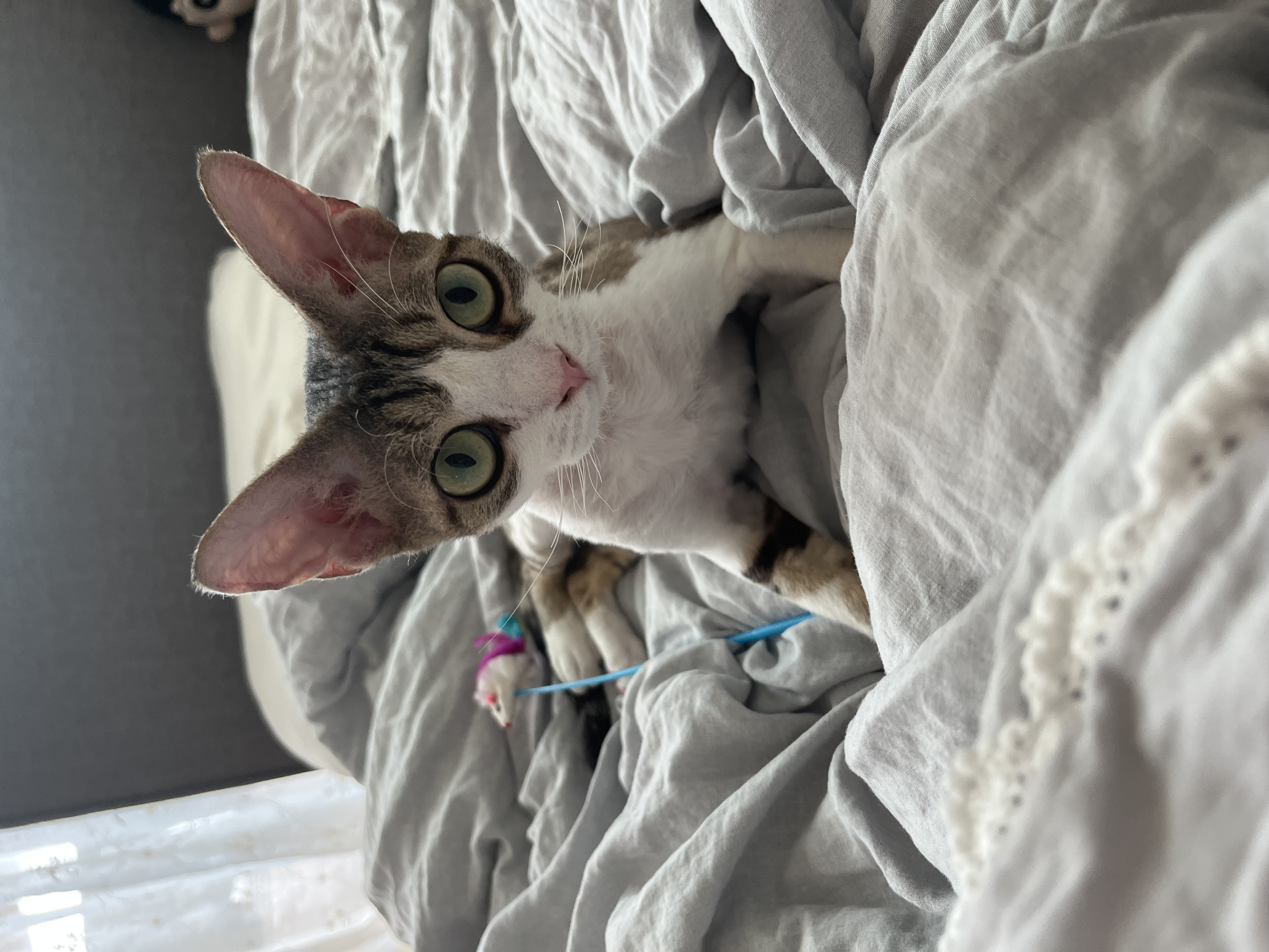 머루가 된 까까의 한달입니다