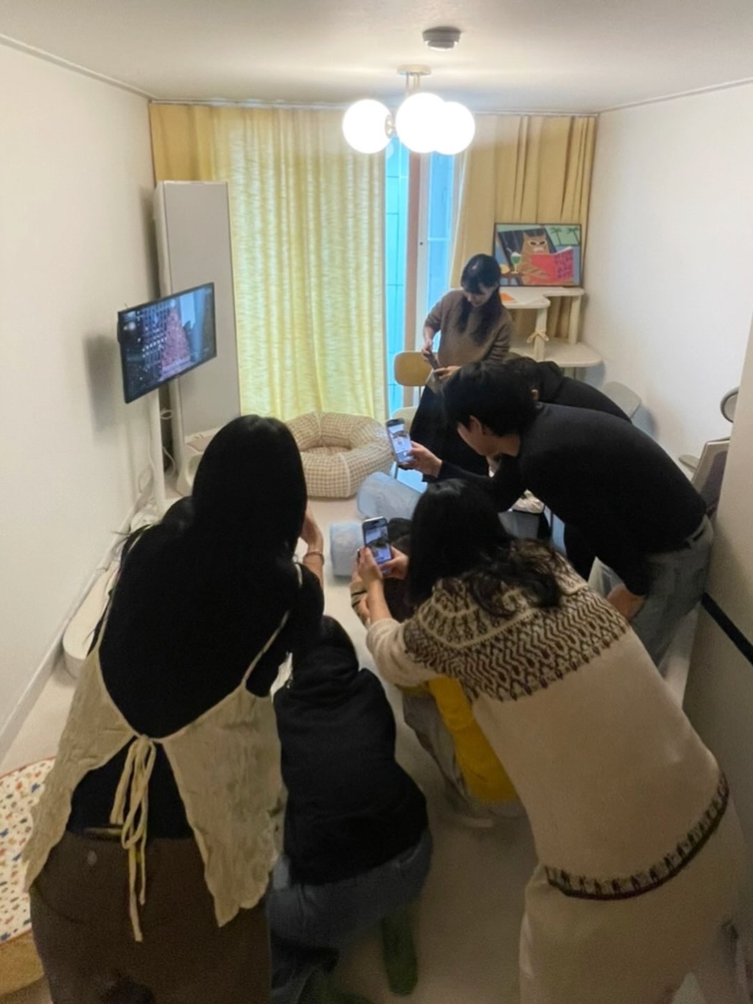 금비(다해) 입양 3개월 넘은 후기