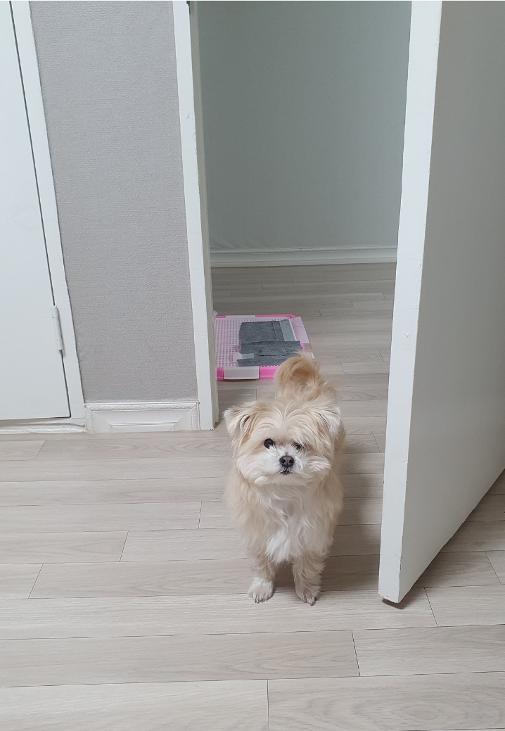 산쵸(구 오유)와 함께한 3년!