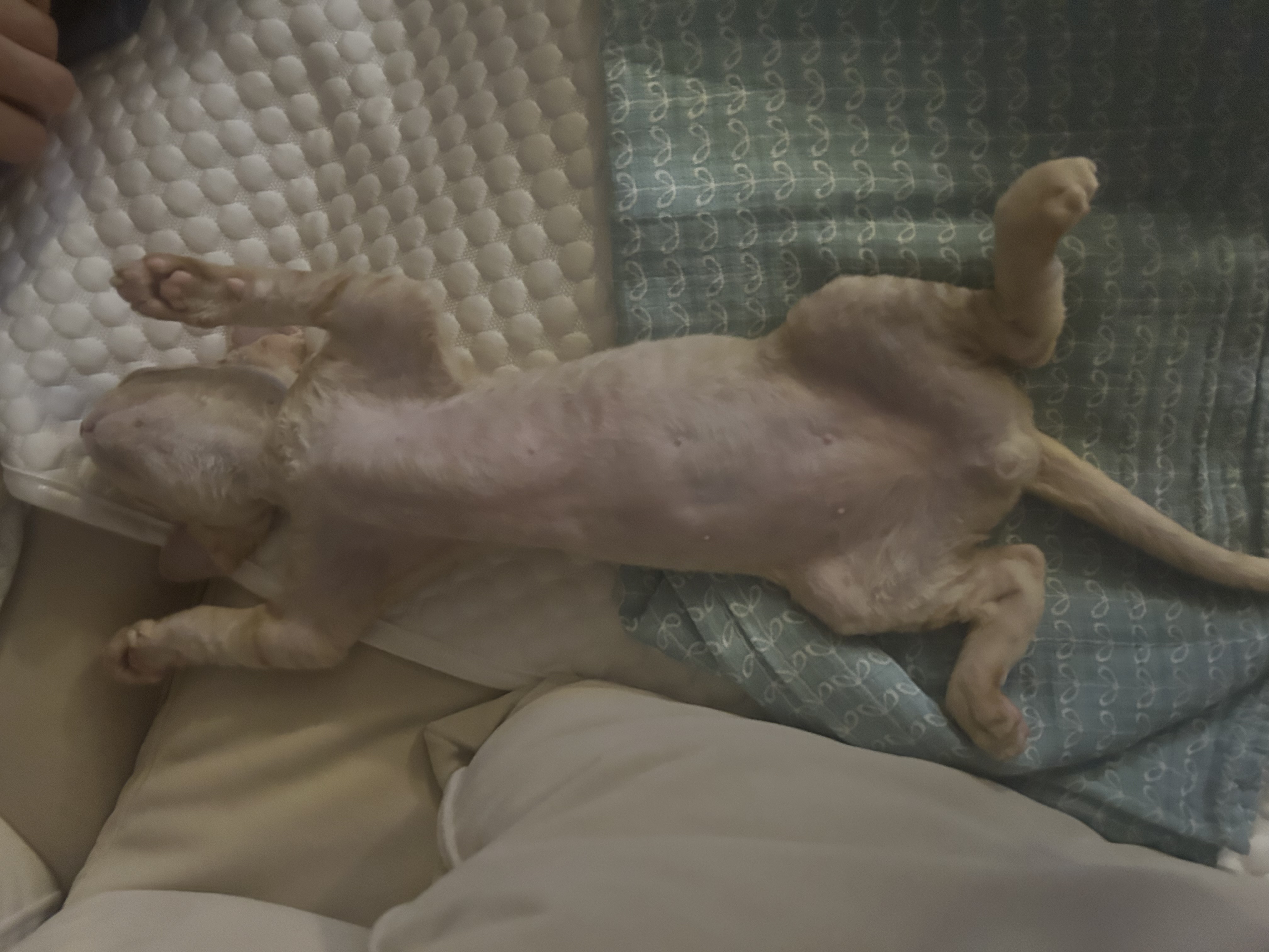 복만이 (던노)와의 한달!