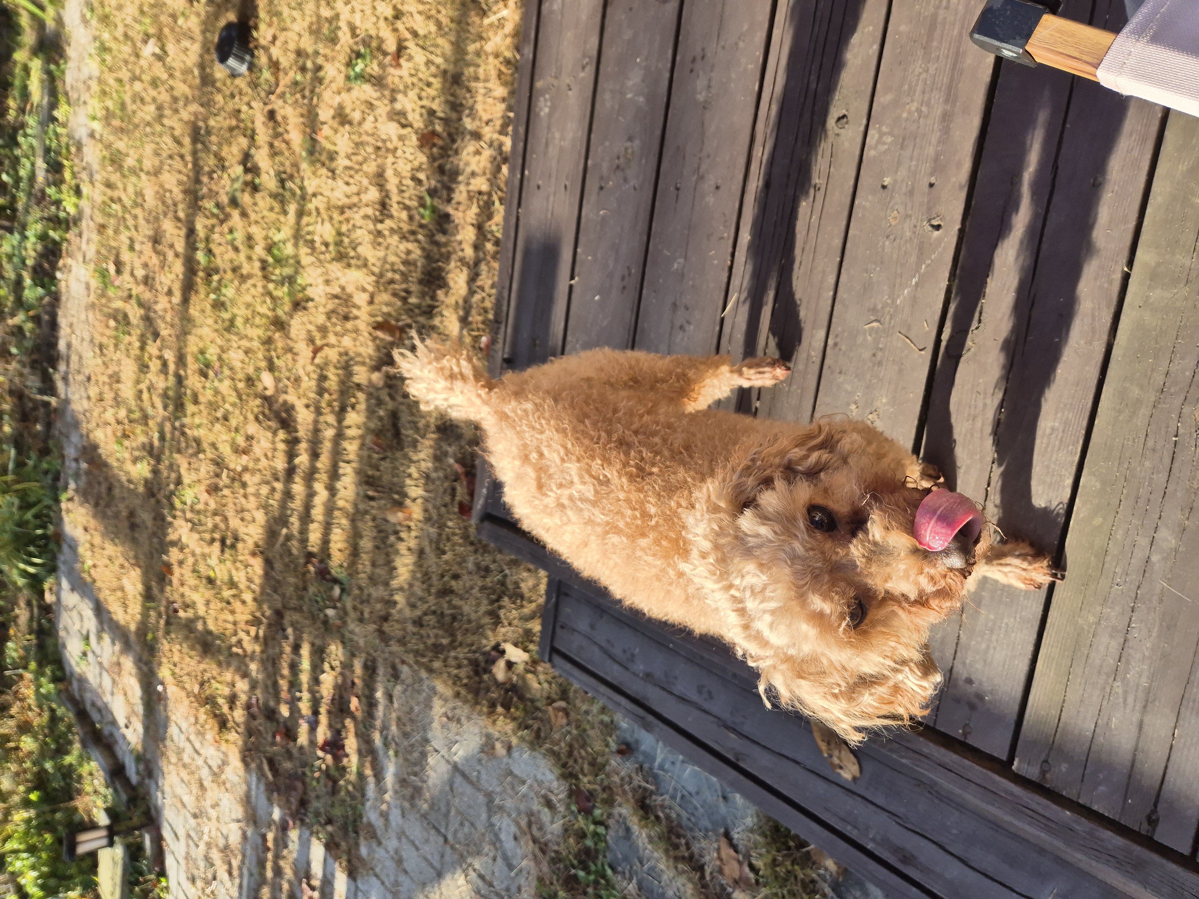 해랑이와 배순이