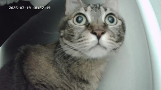 마동이(현 후추)의 일주일 이야기