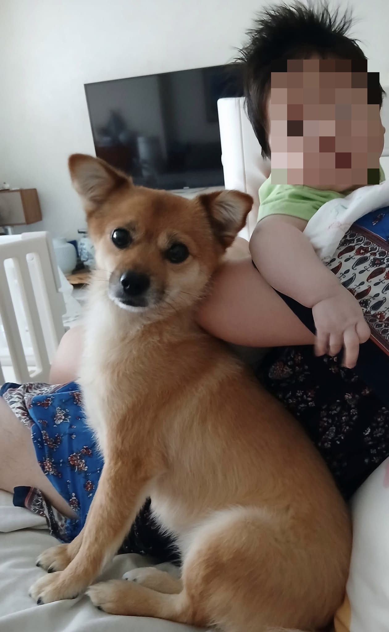 [해외입양] 캐나다 토론토에서 전해온 '달님이' 소식💌