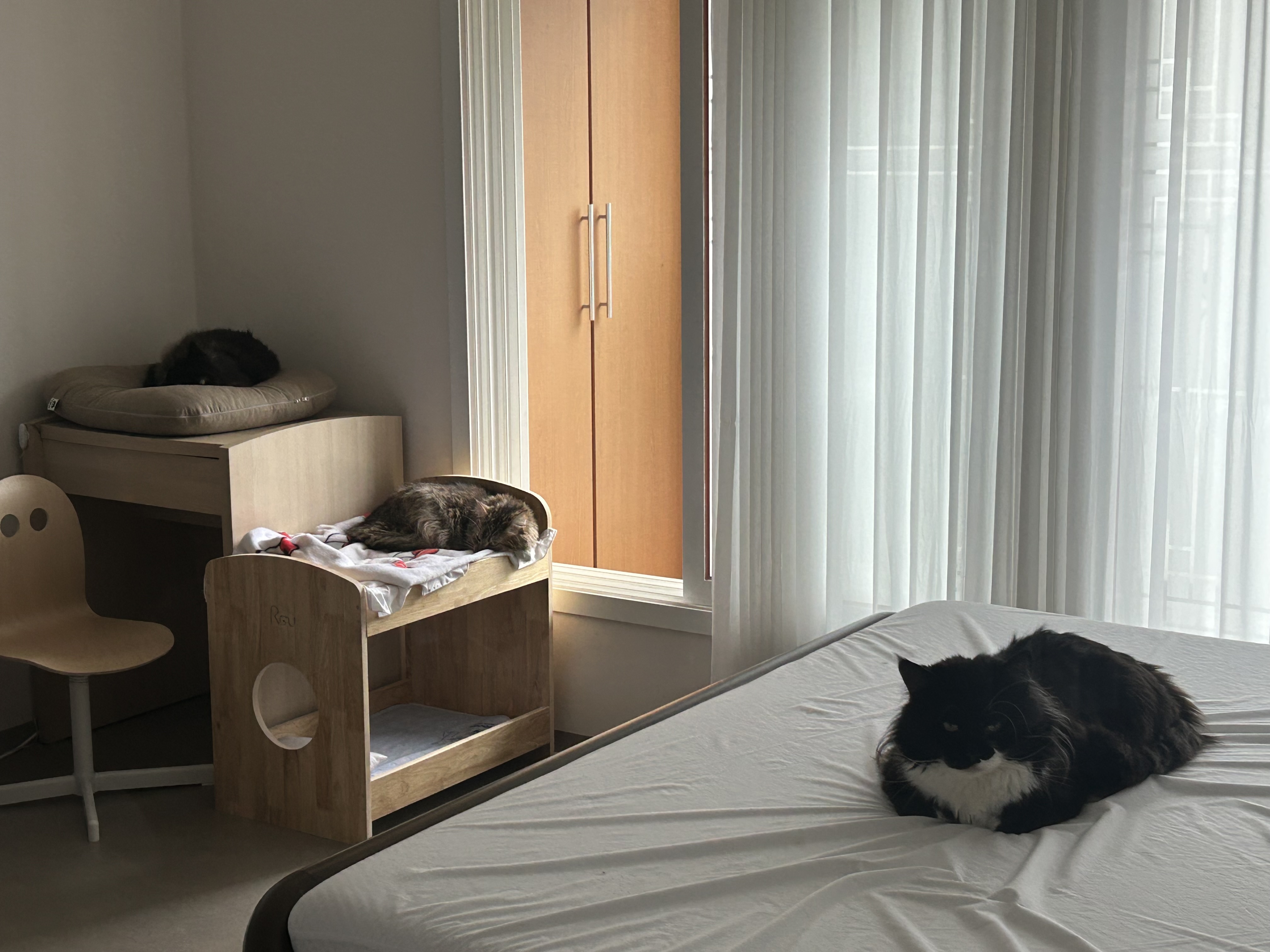 산이(인쿤이)와의 1년