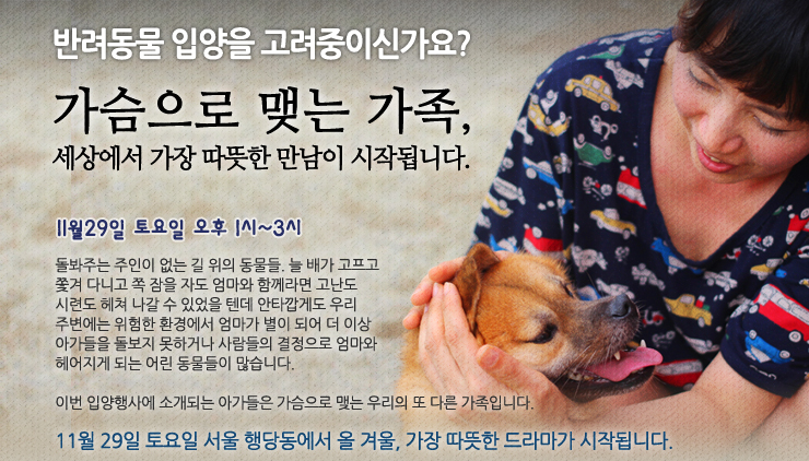 [입양행사] 11월29일, 올 겨울 가장 따뜻한 드라마가 시작됩니다~!