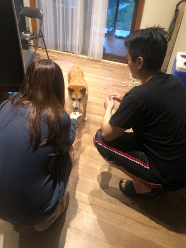 [해외입양] 캐나다 토론토에서 가족을 만난 달순이 소식입니다.