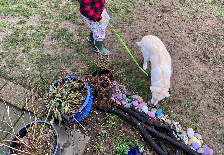 [해외입양] 캐나다 밴쿠버에서 가족을 만난 시원이
