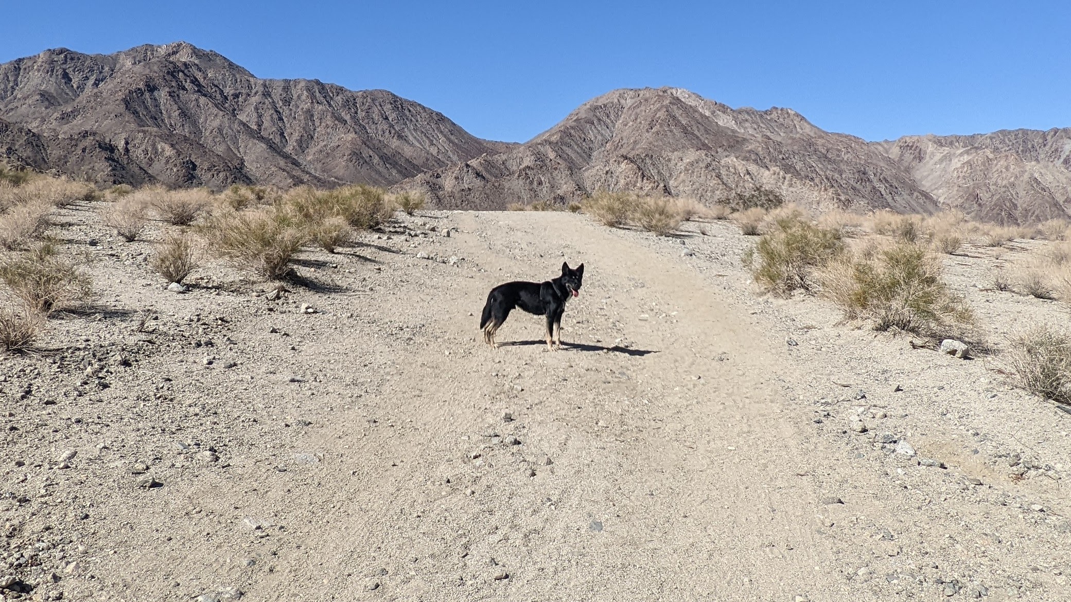 [해외입양] 캐나다 밴쿠버에서 가족을 만난 '슬옹이'
