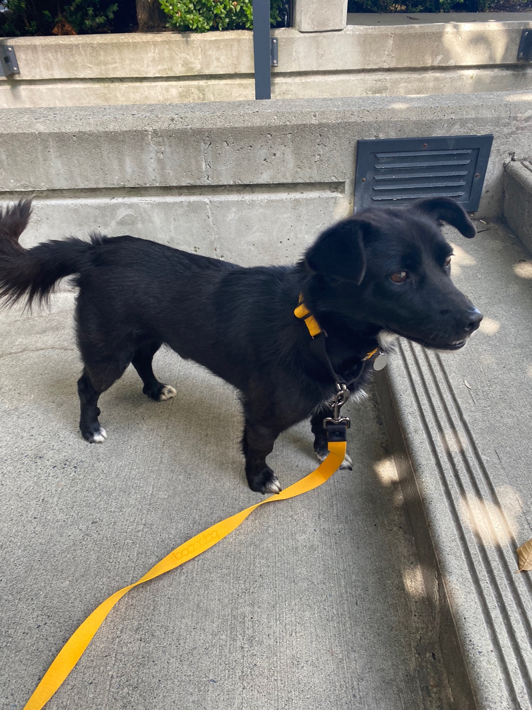 [해외입양] 루이가 캐나다 밴쿠버에서 가족을 만났습니다!