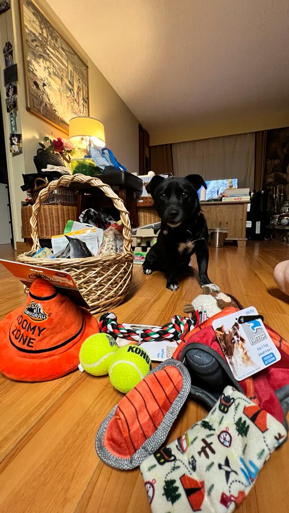 [해외입양] 캐나다 밴쿠버에서 가족을 만난 '루이'