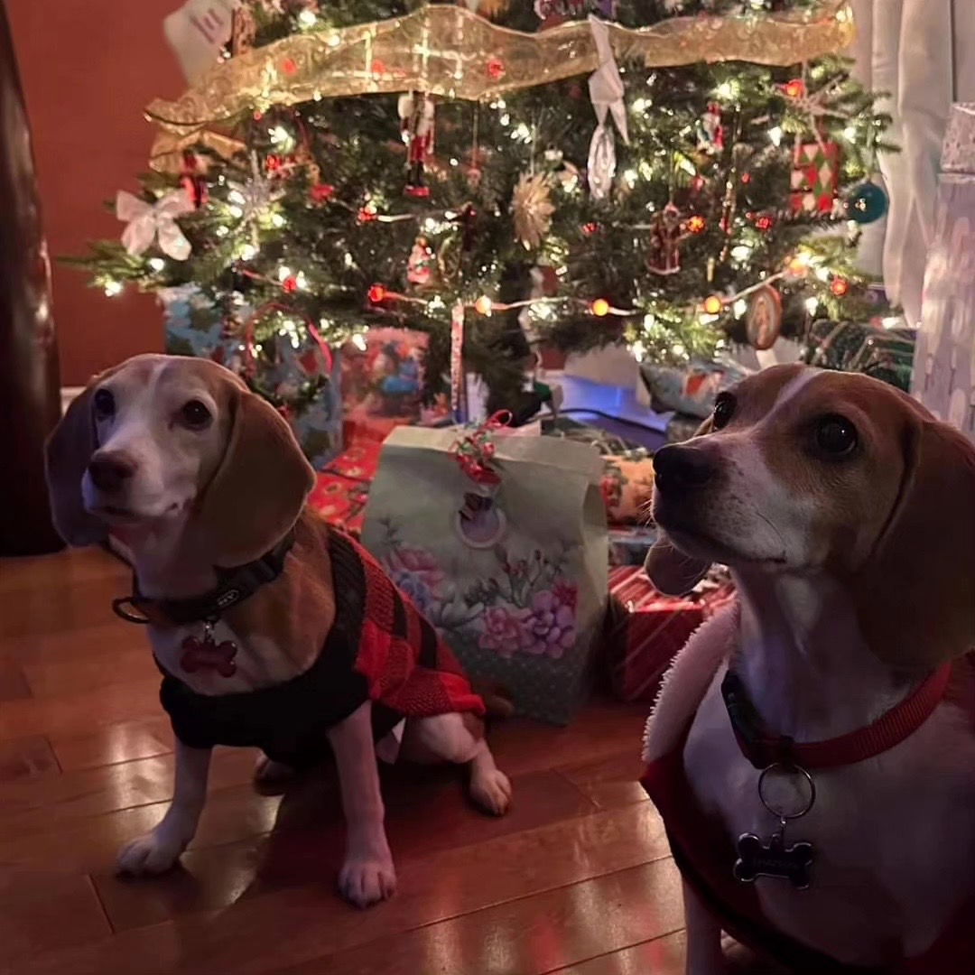 [해외입양] 캐나다 밴쿠버에서 가족을 만난 '미나'