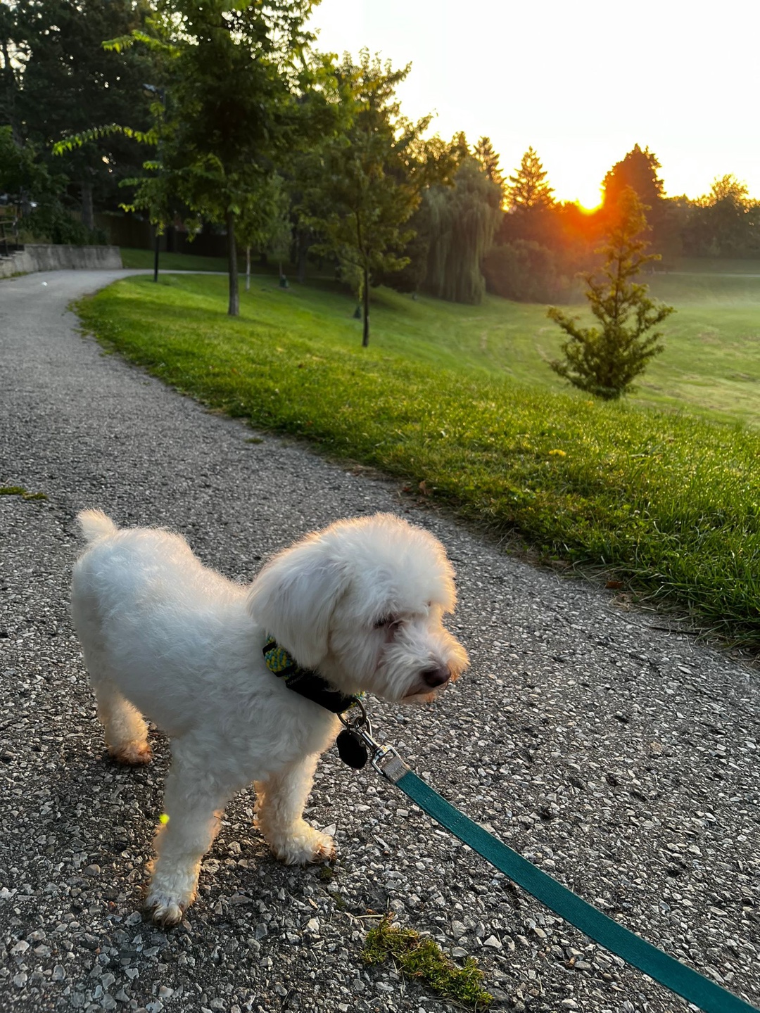 [해외입양] 캐나다 토론토에서 가족을 만난 '만덕이'